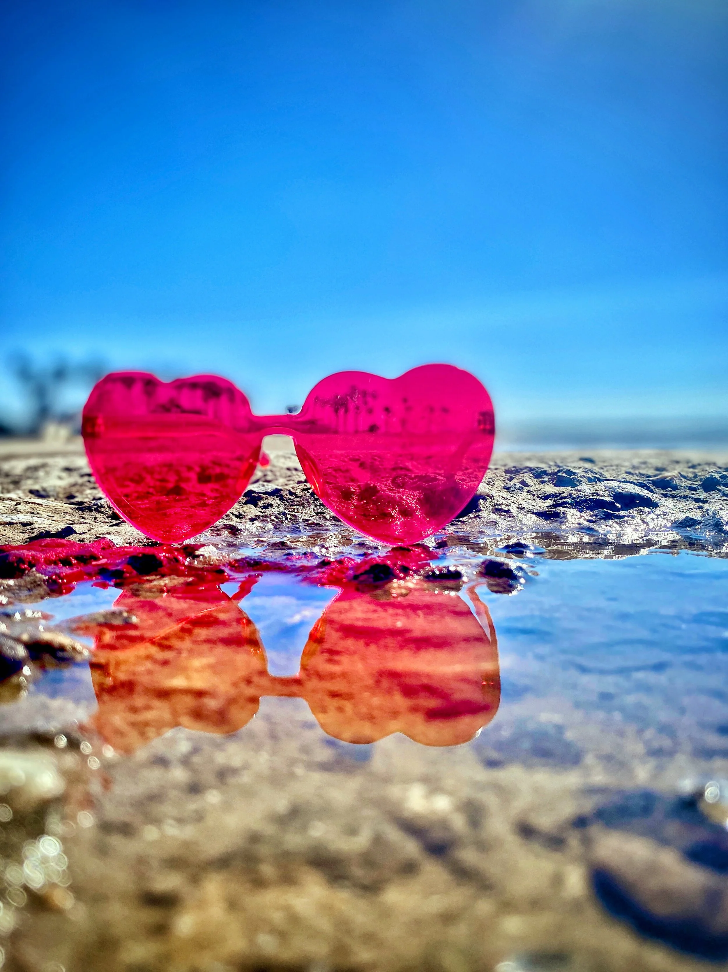 To the Ocean I Go to Lose My Mind and Find My Soul By Lena Milos 