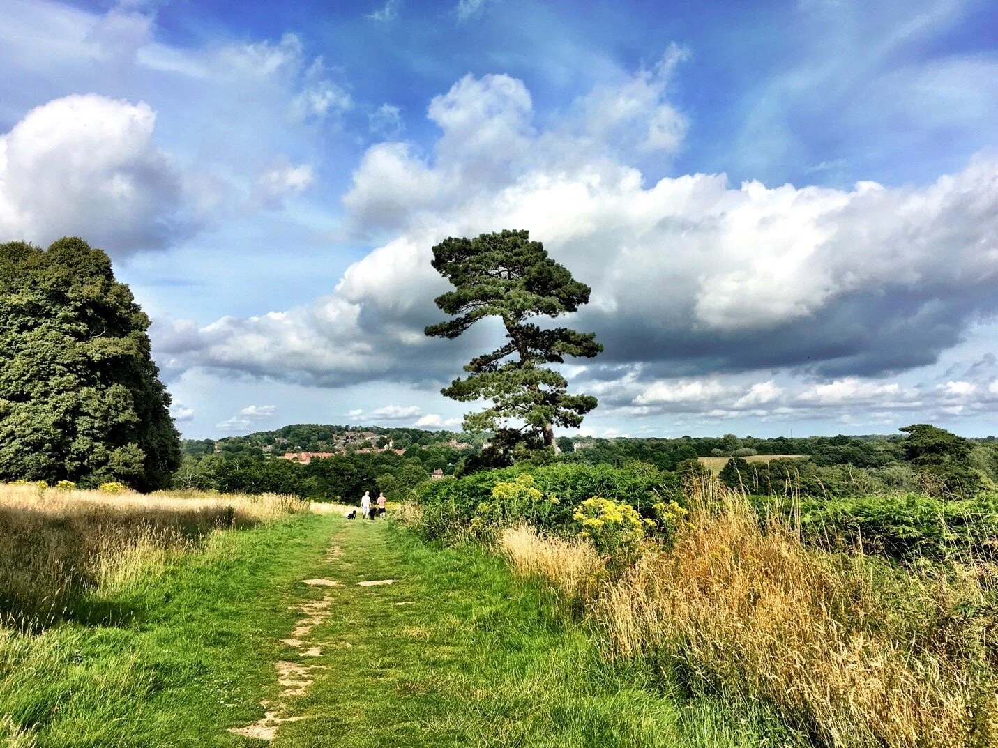 Where I Came From ….The Beautiful English Countryside By Dianne Gowder