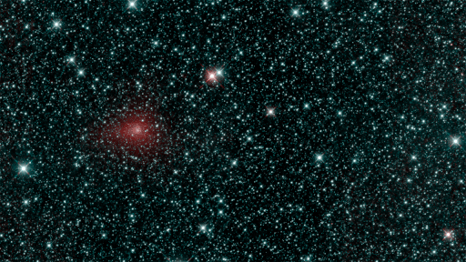 The NEOWISE Comet By Steve Tabor