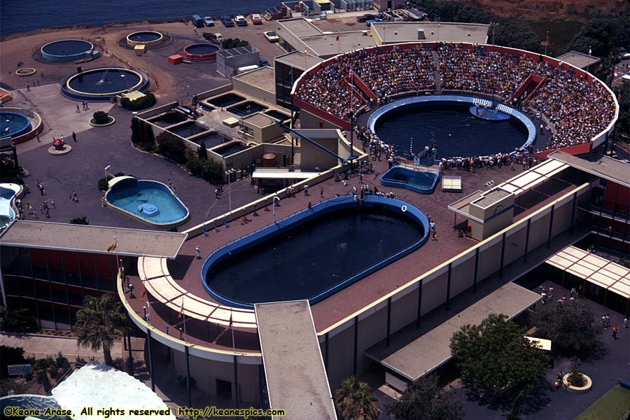 View from Sky Tower at Marineland, 1969 (used with permission by keanespics.com)