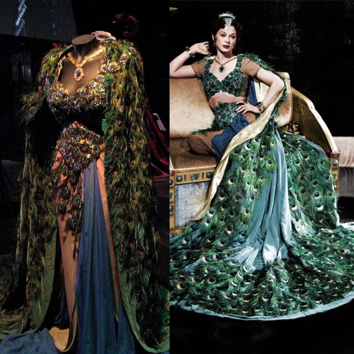 Let's Talk Turkey About the Prettiest Peacock in Palos Verdes! by Greg Schreiner