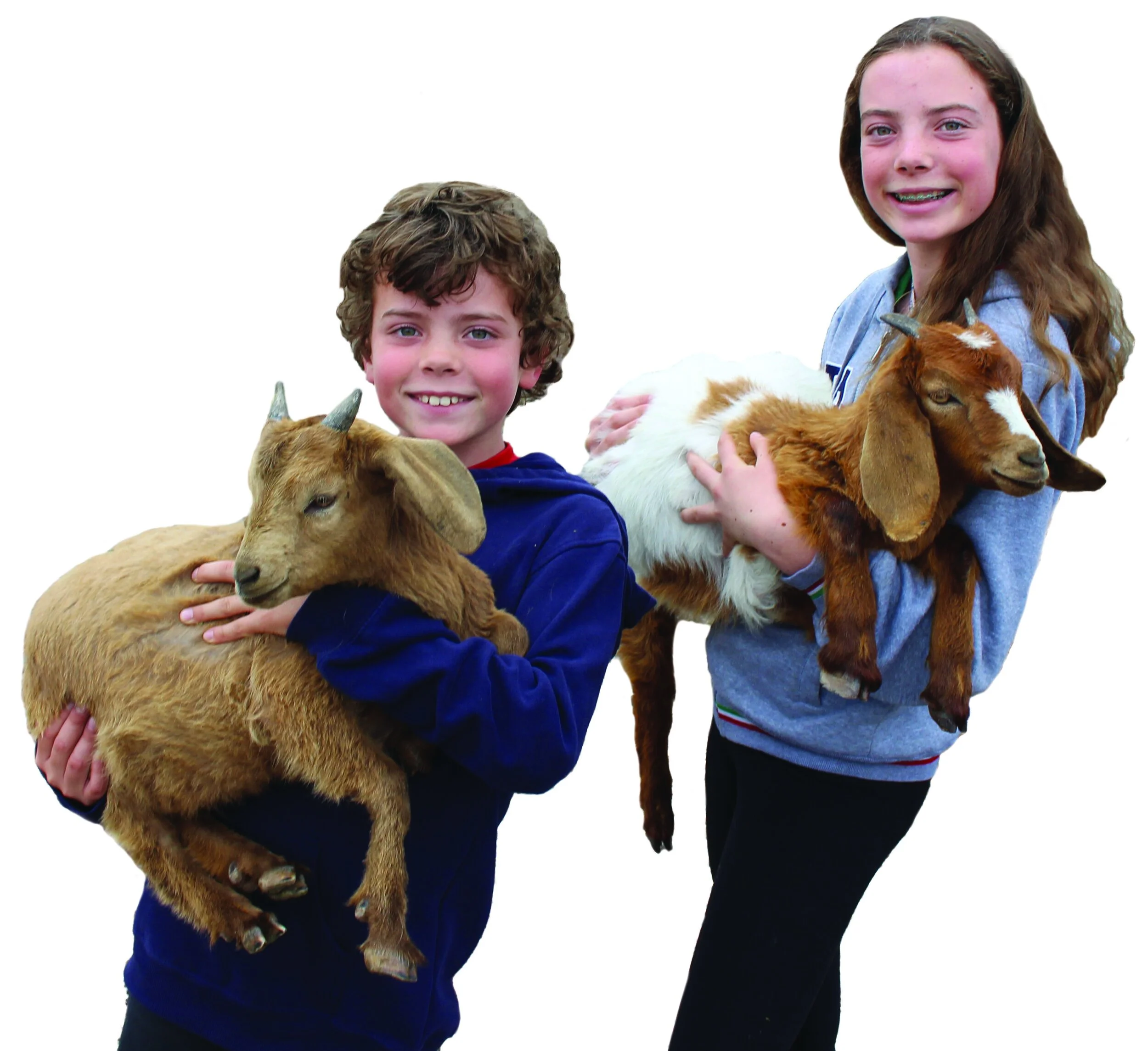 The Palos Verdes Peninsula Land Conservancy Is Looking for a Few Good Goats By Steve Tabor
