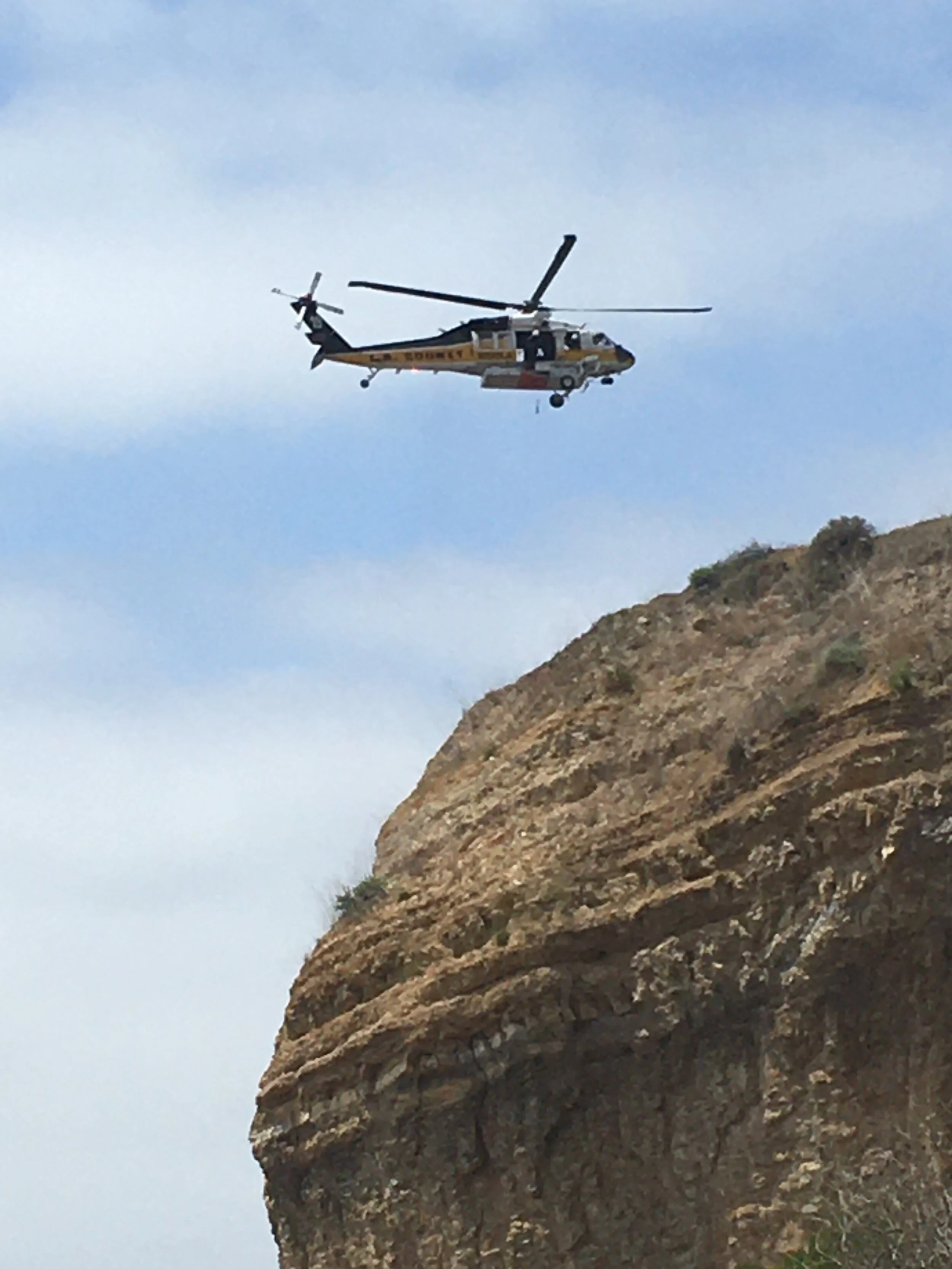 My Community Scientists:  A Cactus Wren Odyssey By Dan Lambert
