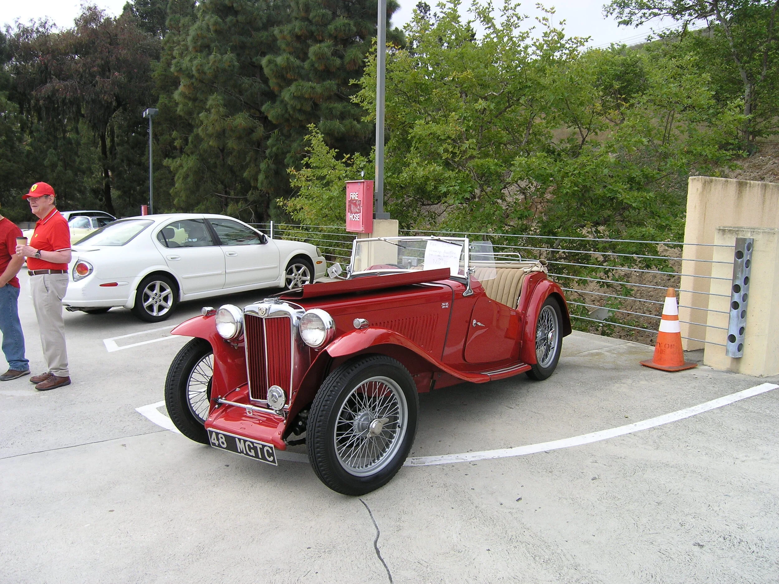Car Shows Are Back! Coffee and Cars By Dana Graham