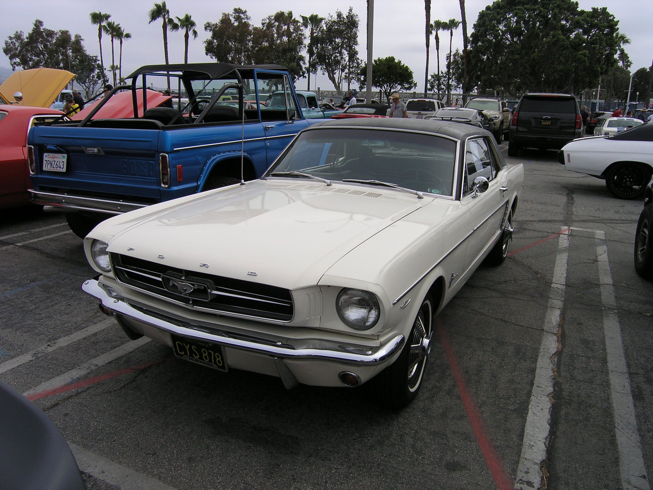 Your basic 1965 Mustang.JPG