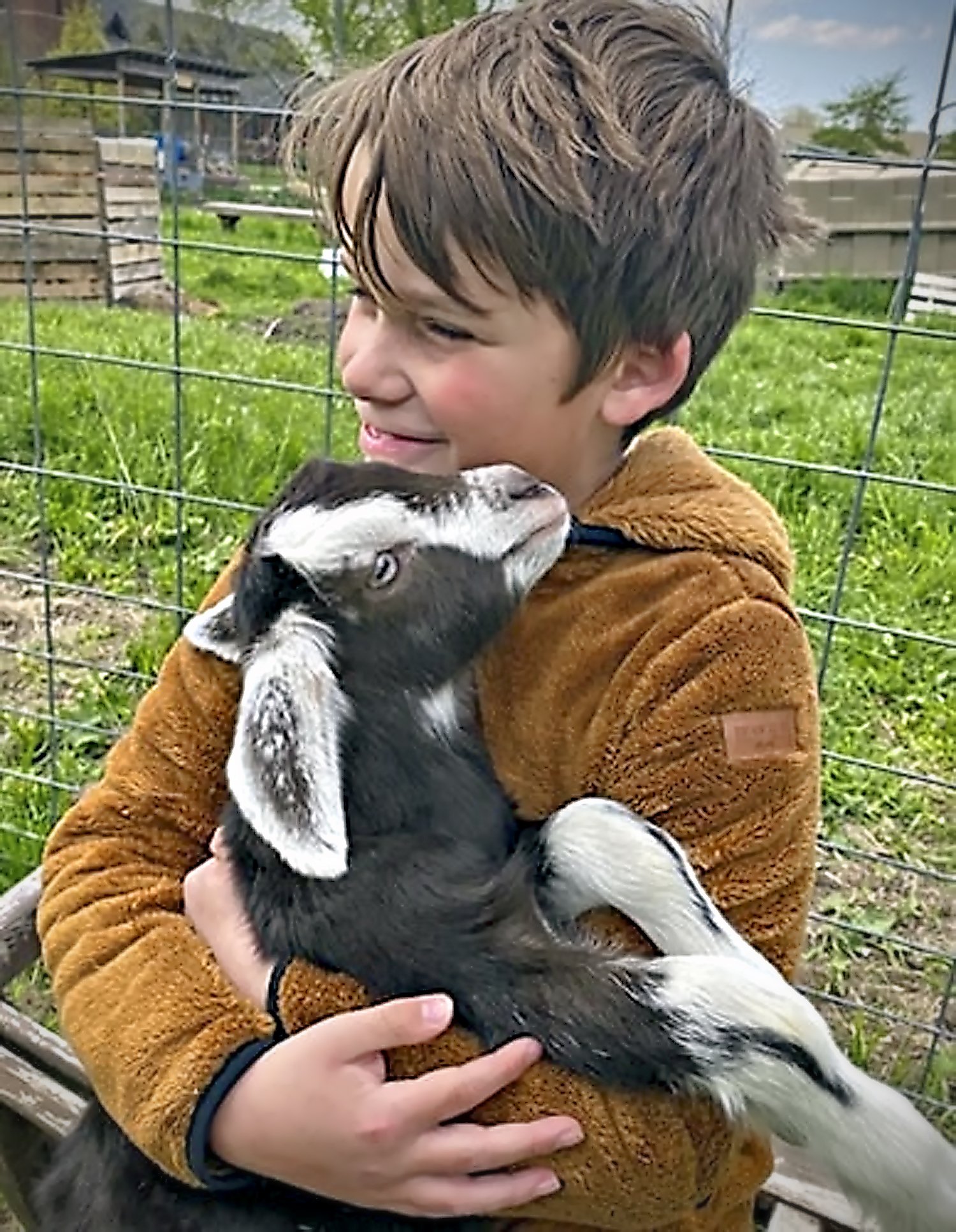 goat and boy use.jpg
