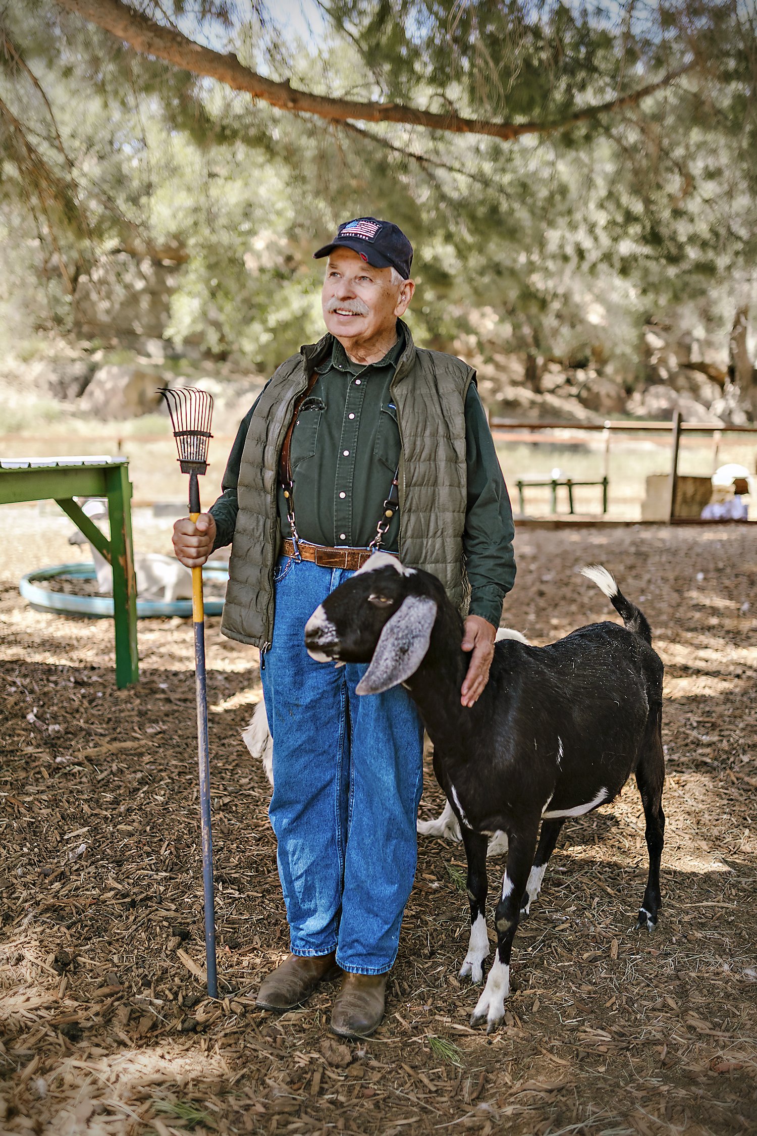 goat and old man aaaa.jpg