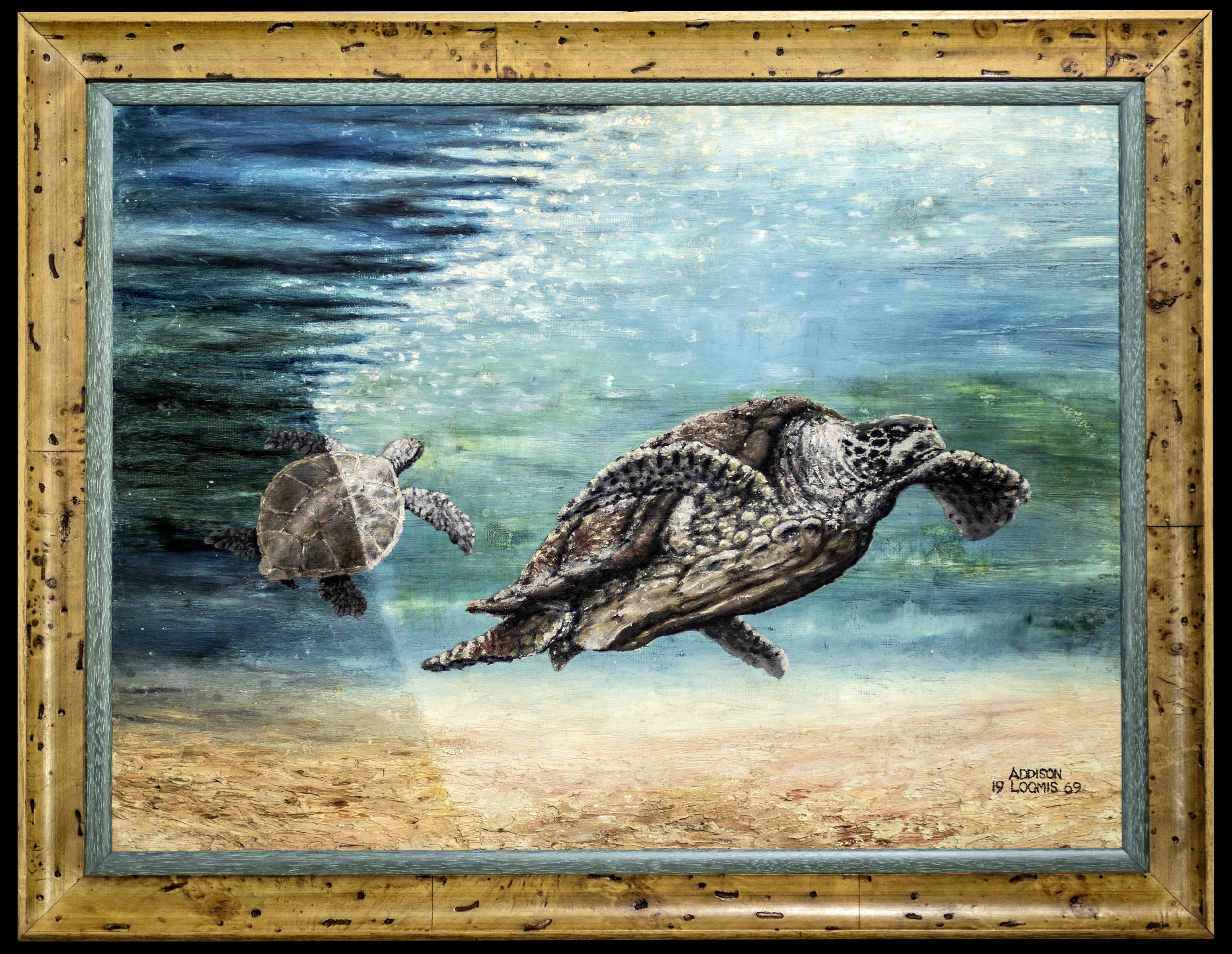 Loomis-Underwater-Oil-Painting-014-Sized.jpg