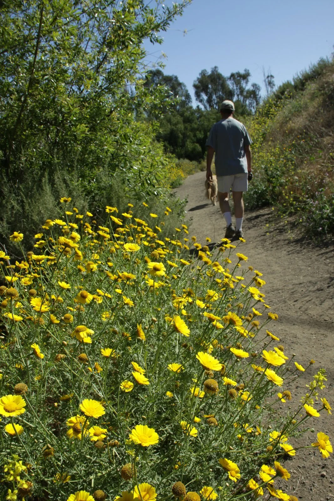 Palos Verdes Peninsula Land Conservancy Calendar of Events for September 2022