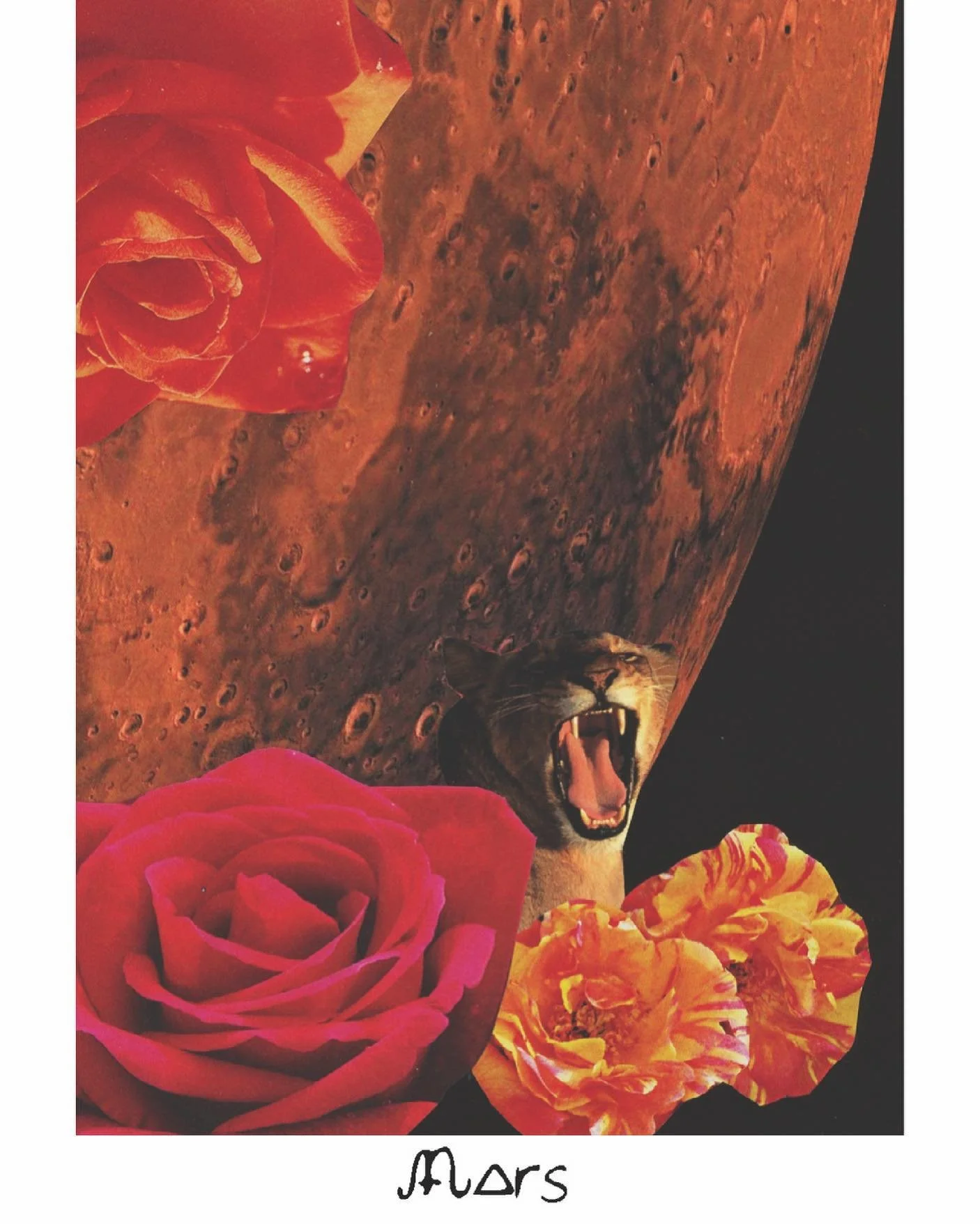 Move Boldly Forward with Mars By Lisa De La O Wyman