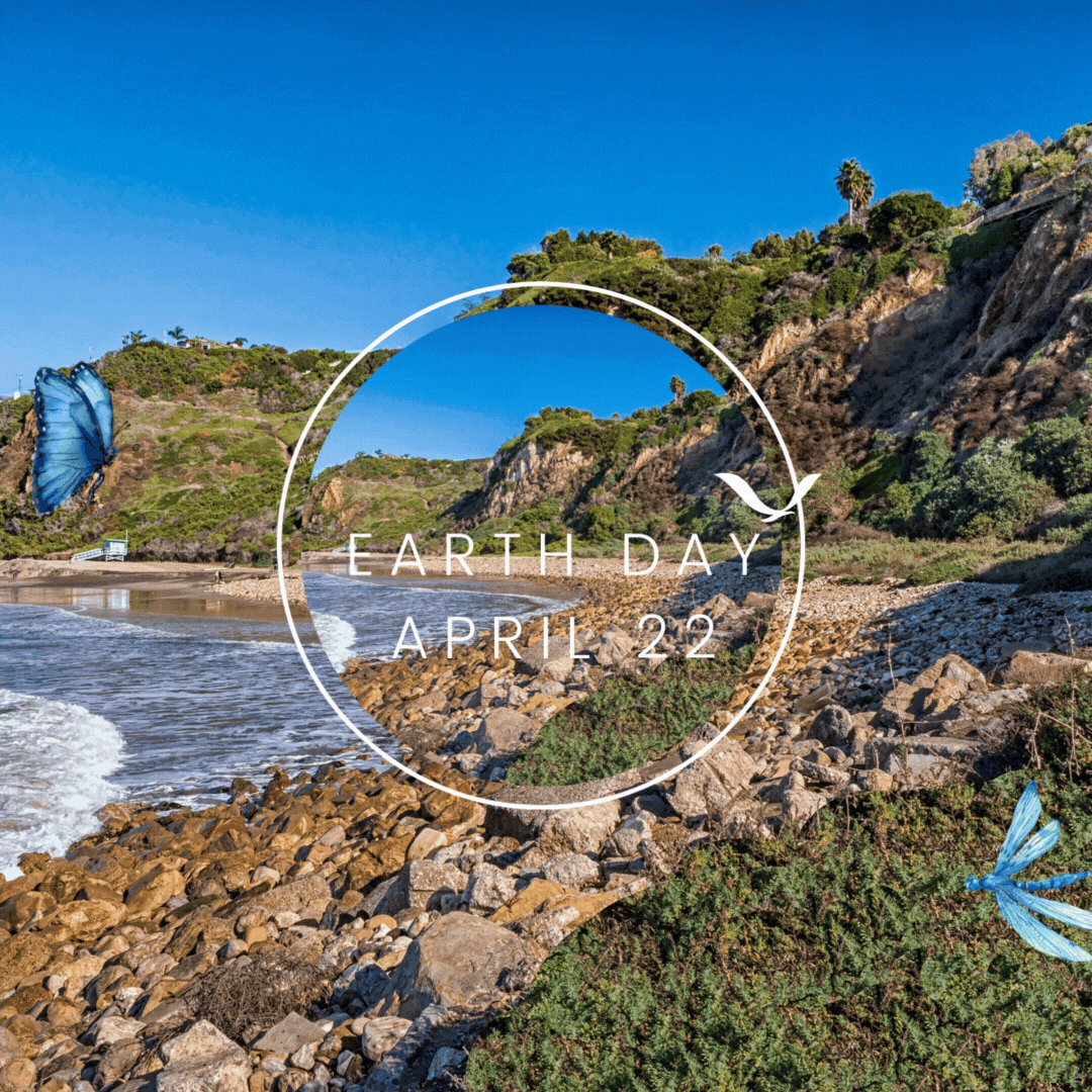 Celebrating Earth Day: The Importance of Protecting Our Planet