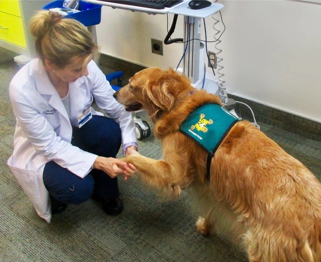 LOVE On 4 PAWS: Animal-assisted Therapy Organization Seeks Pets to Help People in Need By Contributor and Artist, Lynn Attig