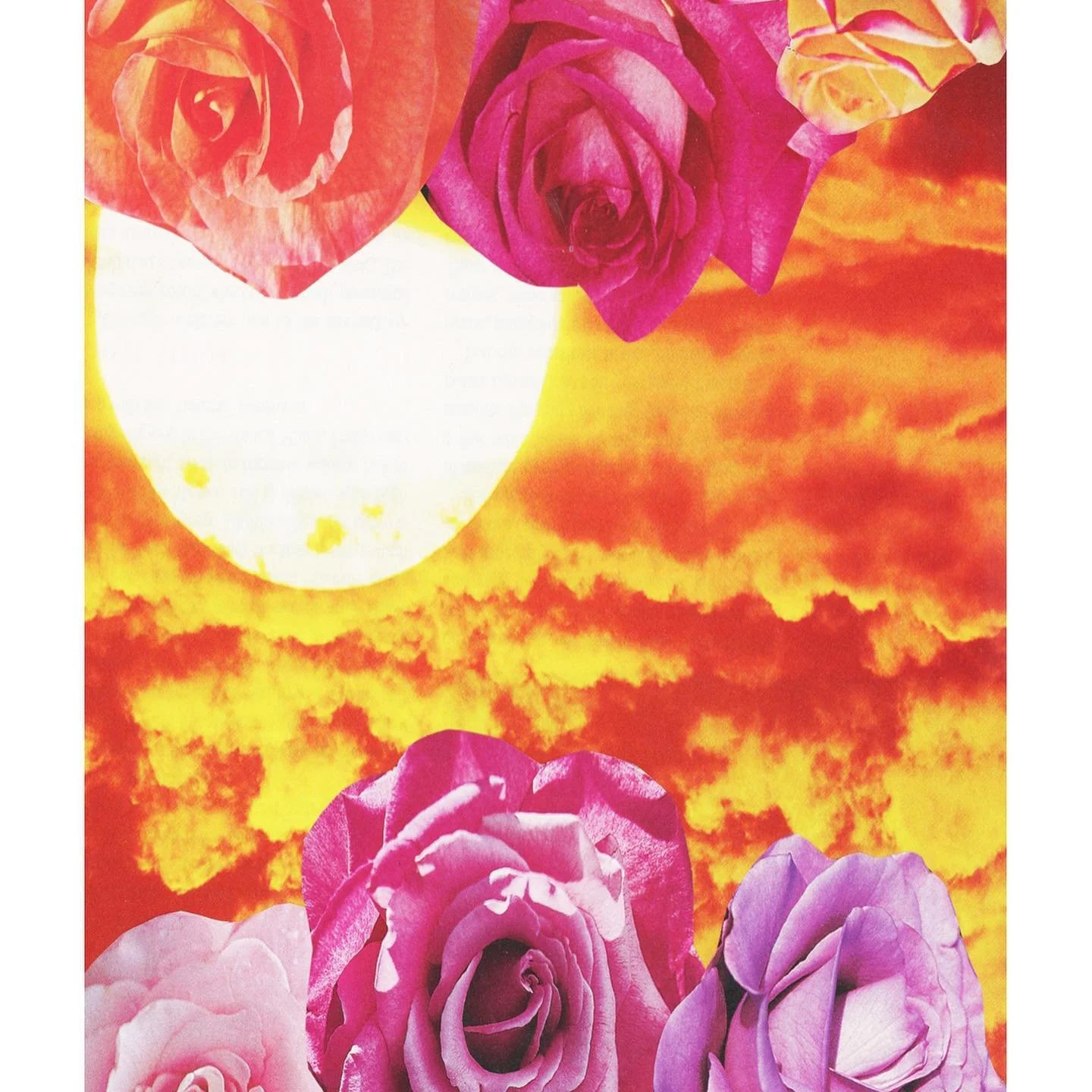 Shine Brightly In the Light of the Sun by Lisa De La O Wyman