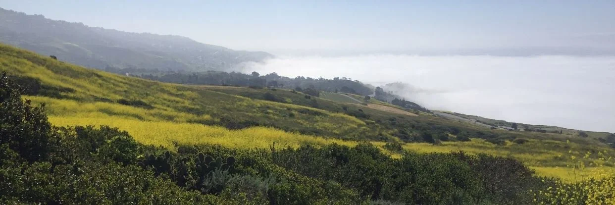 January 2024 Event Schedule for Palos Verdes Peninsula Land Conservancy