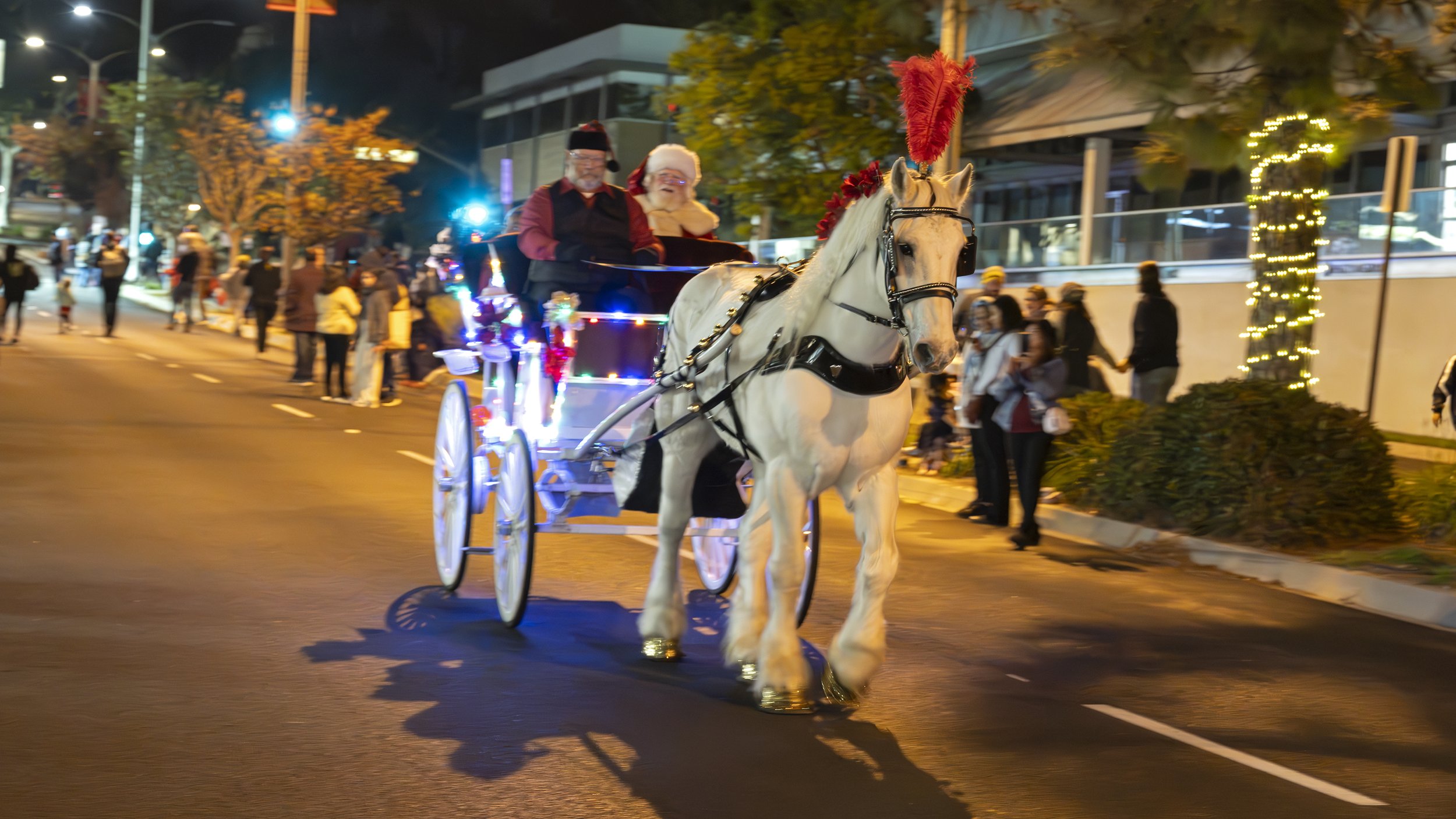 The Sights, Sounds and Spirit of the Holiday Season Fills the Air Across the Peninsula By Photographer &amp; Contributor Steve Tabor