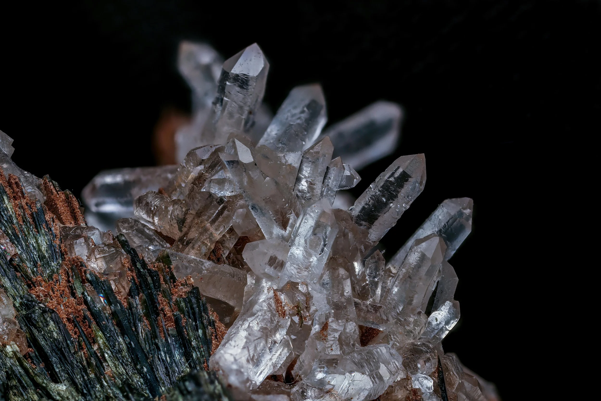 Palos Verdes Gem and Mineral Society Celebrates Education and Rocks By Writer and Contributor Emily McGinn