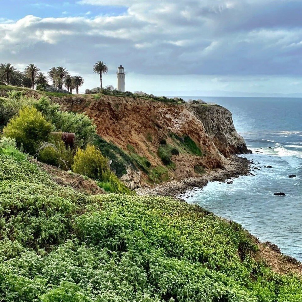 Repost from @palosverdespulse
&bull;
Let's Celebrate Spring in the South Bay by Taking a Hike With Our Talented Tour Guide Dianne Gowder. Let's Go!

Paste in browser to read:  https://www.palosverdespulse.com/blog/2020/4/5/lets-take-a-walk-from-point