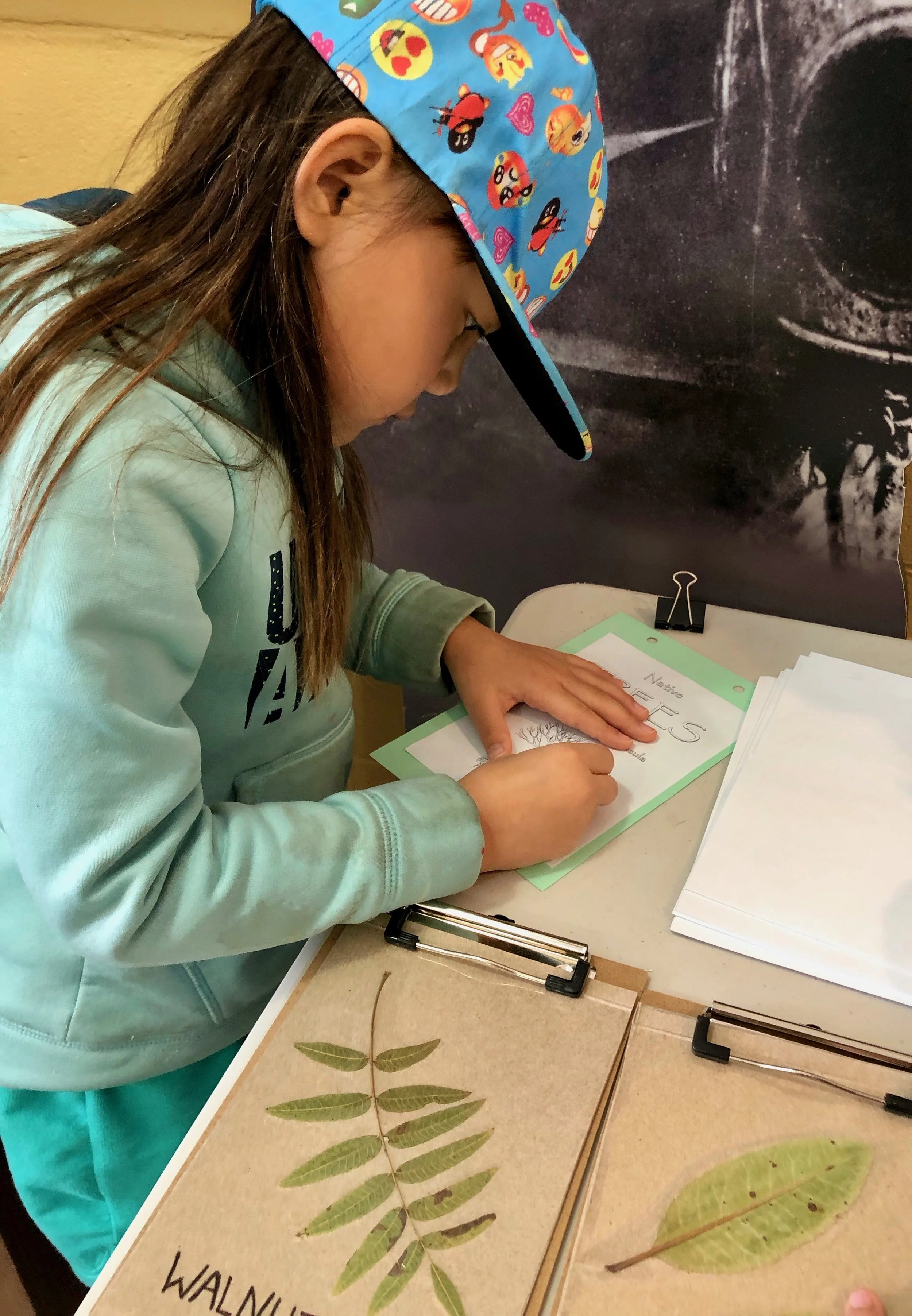 June 2024 Event Schedule for Palos Verdes Peninsula Land Conservancy