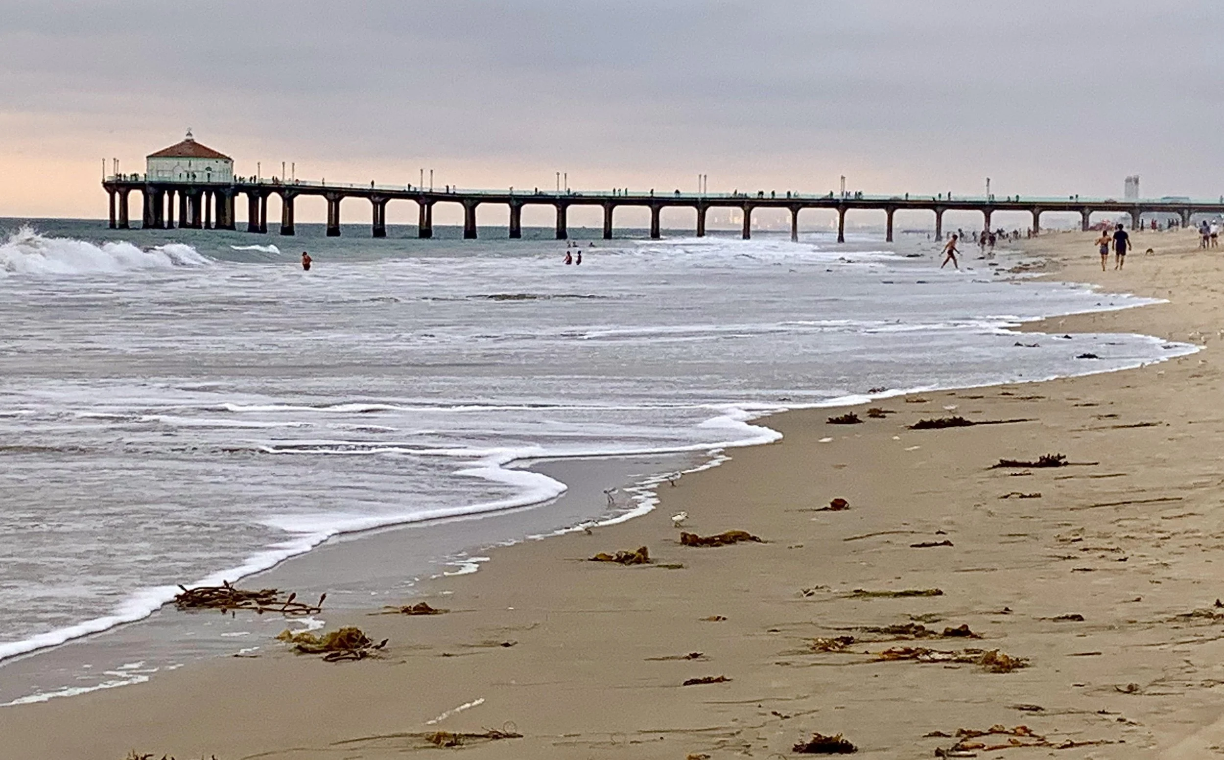 Destination: Manhattan Beach Roundhouse Aquarium By Contributor Wayne Powell, Host/Producer, 'Powell to the People' Radio Show