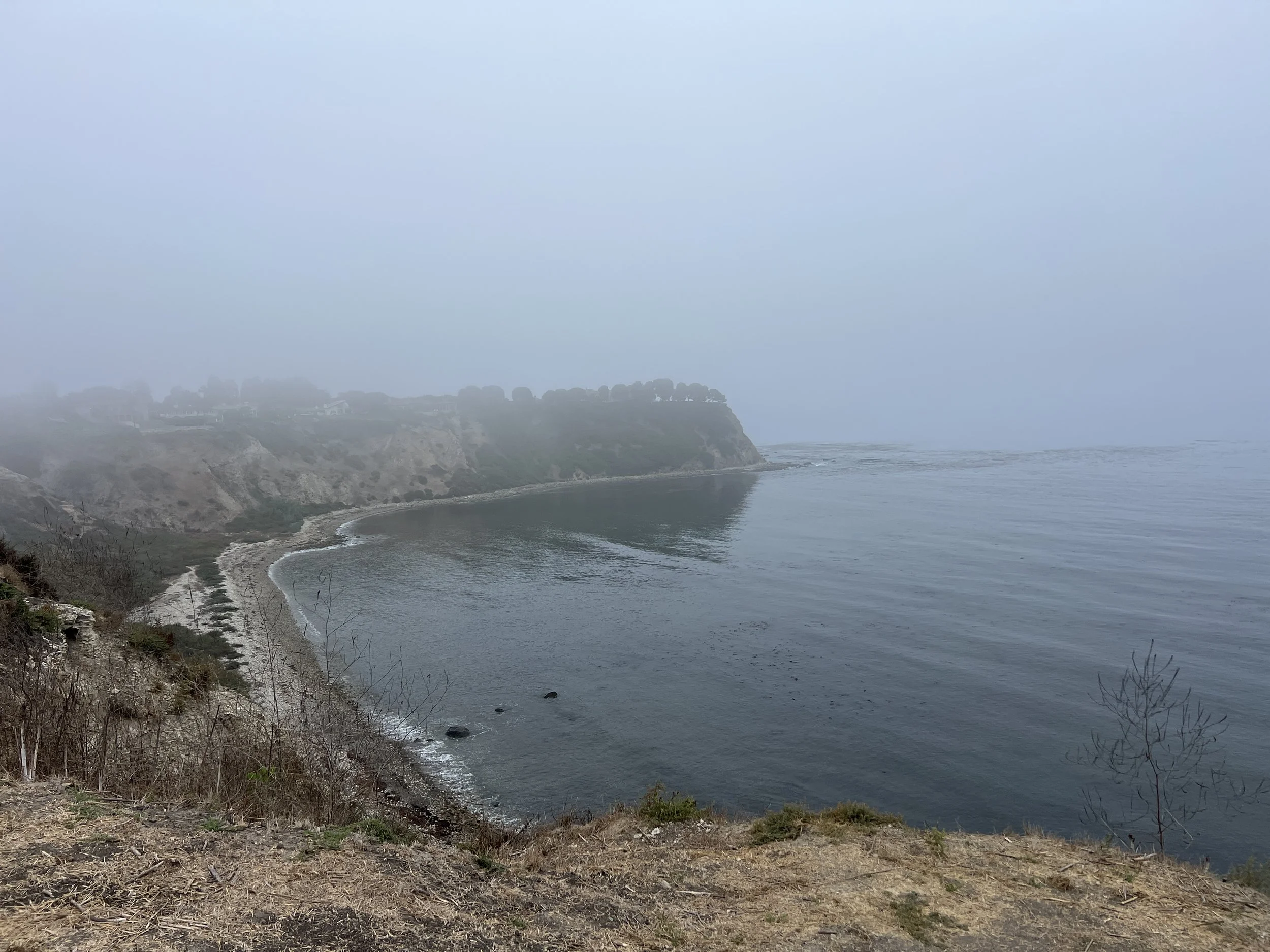 Fog Magic By Writer and Contributor NJ Jaeger