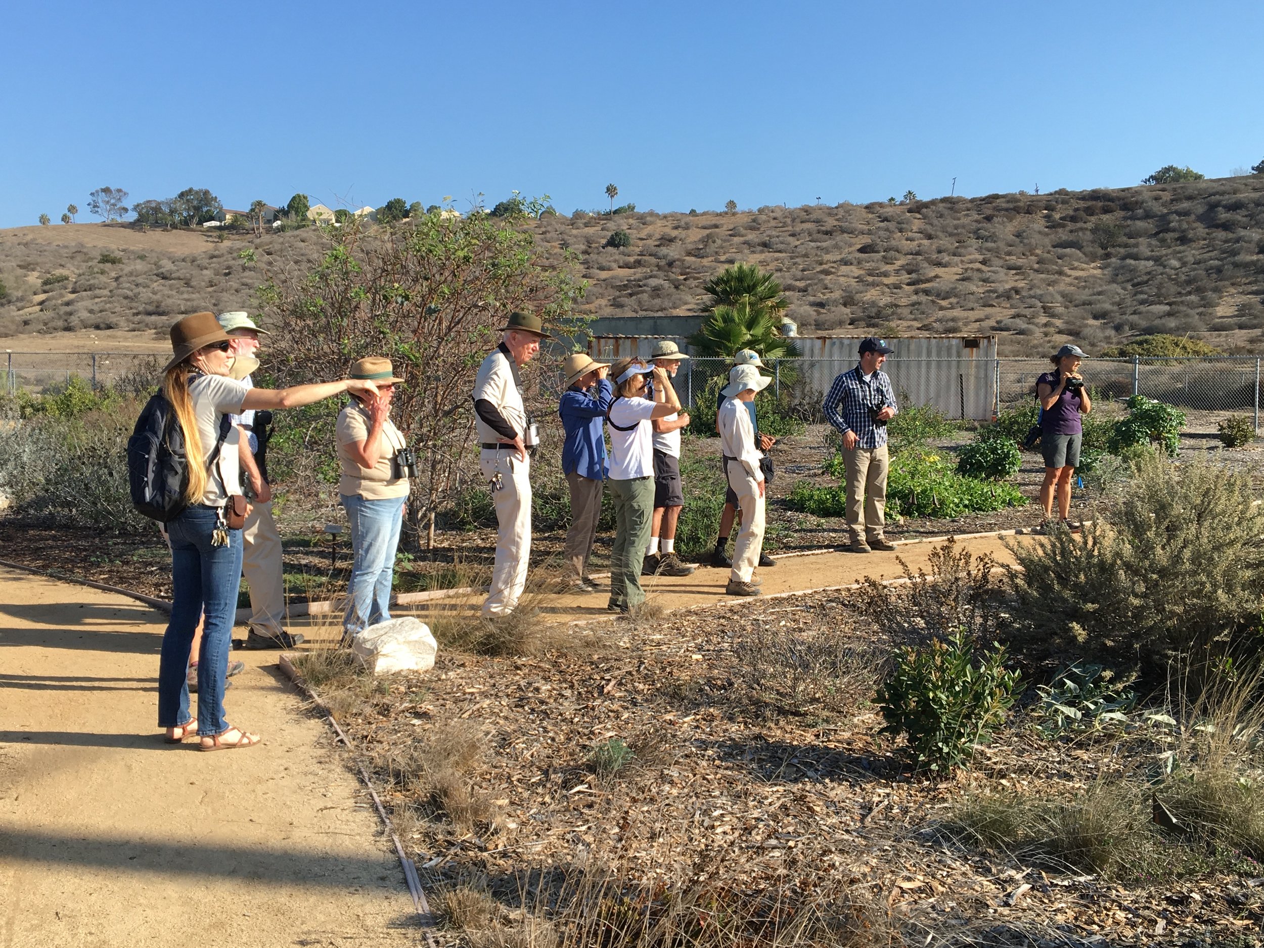 February 2025 Event Schedule for Palos Verdes Peninsula Land Conservancy