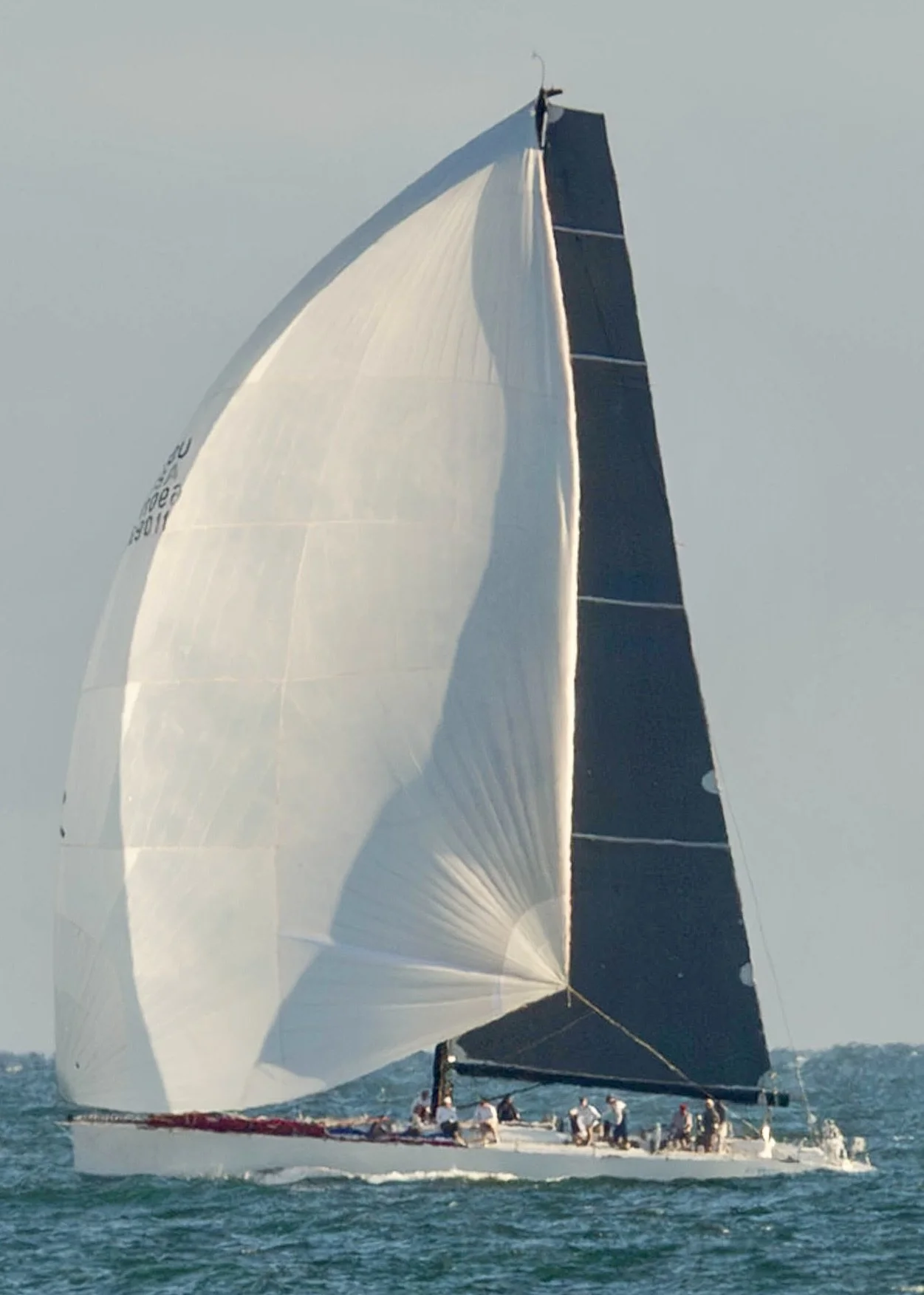 Smooth Sailing: 52nd Annual Santa Barbara to King Harbor Regatta