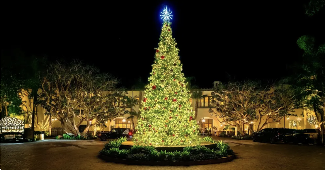 10 Events You Don’t Want To Miss In November