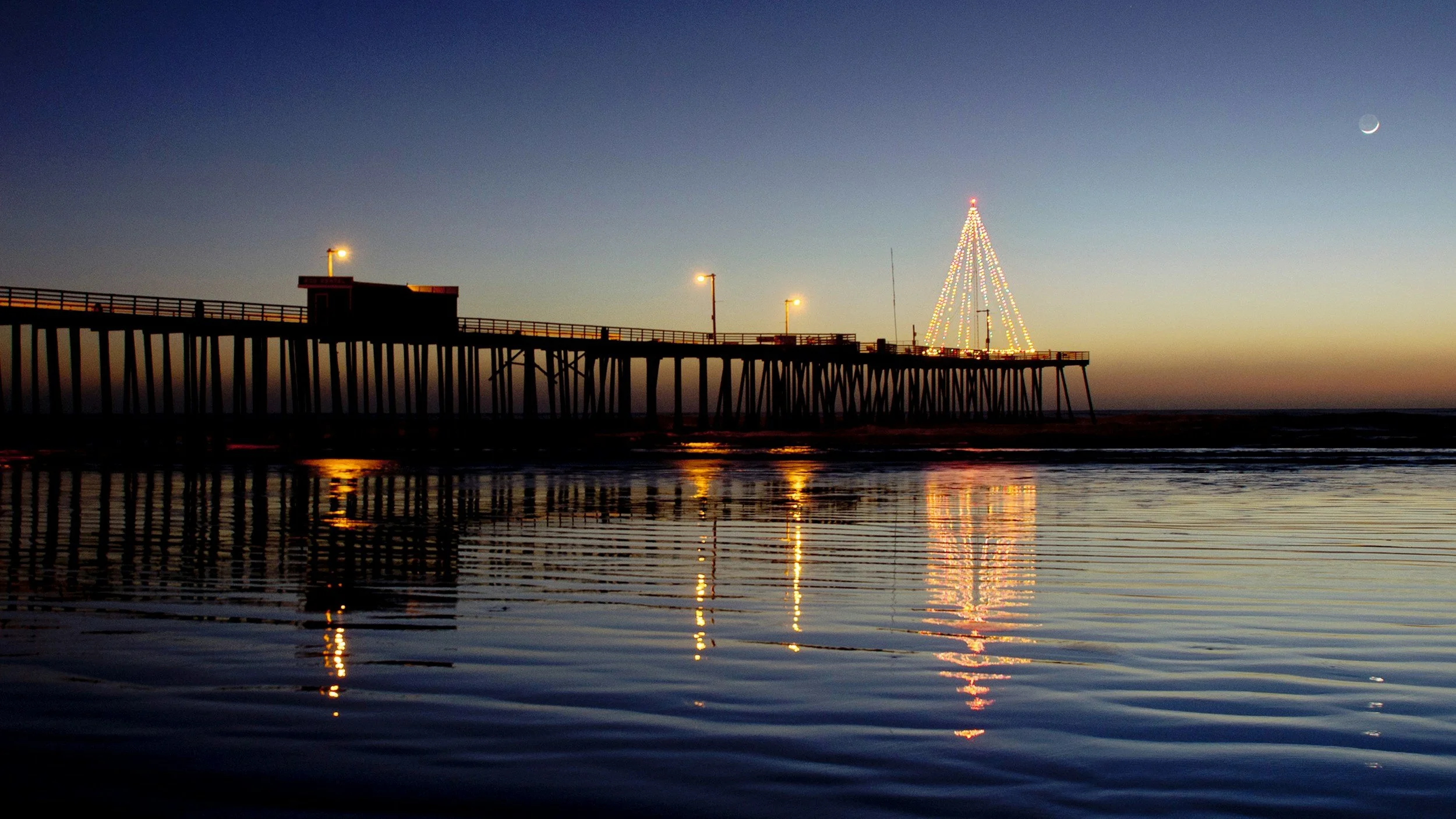 Festive Lights and Coastal Cheer: The Top 12 Events in Palos Verdes and the South Bay This December 2025