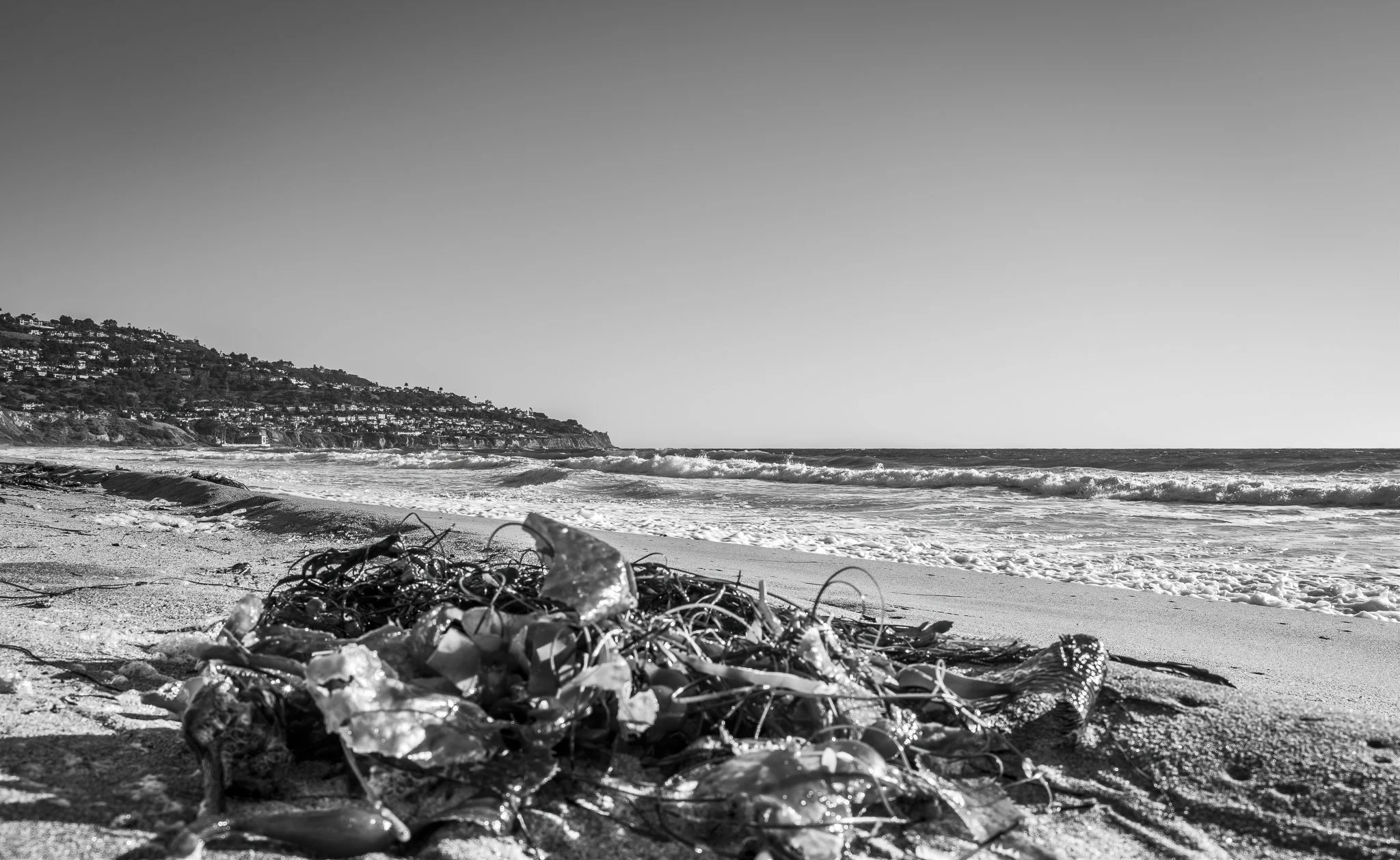 Basalt, Shale and Grayscale By Shades of Gray Photographer, Artist ...