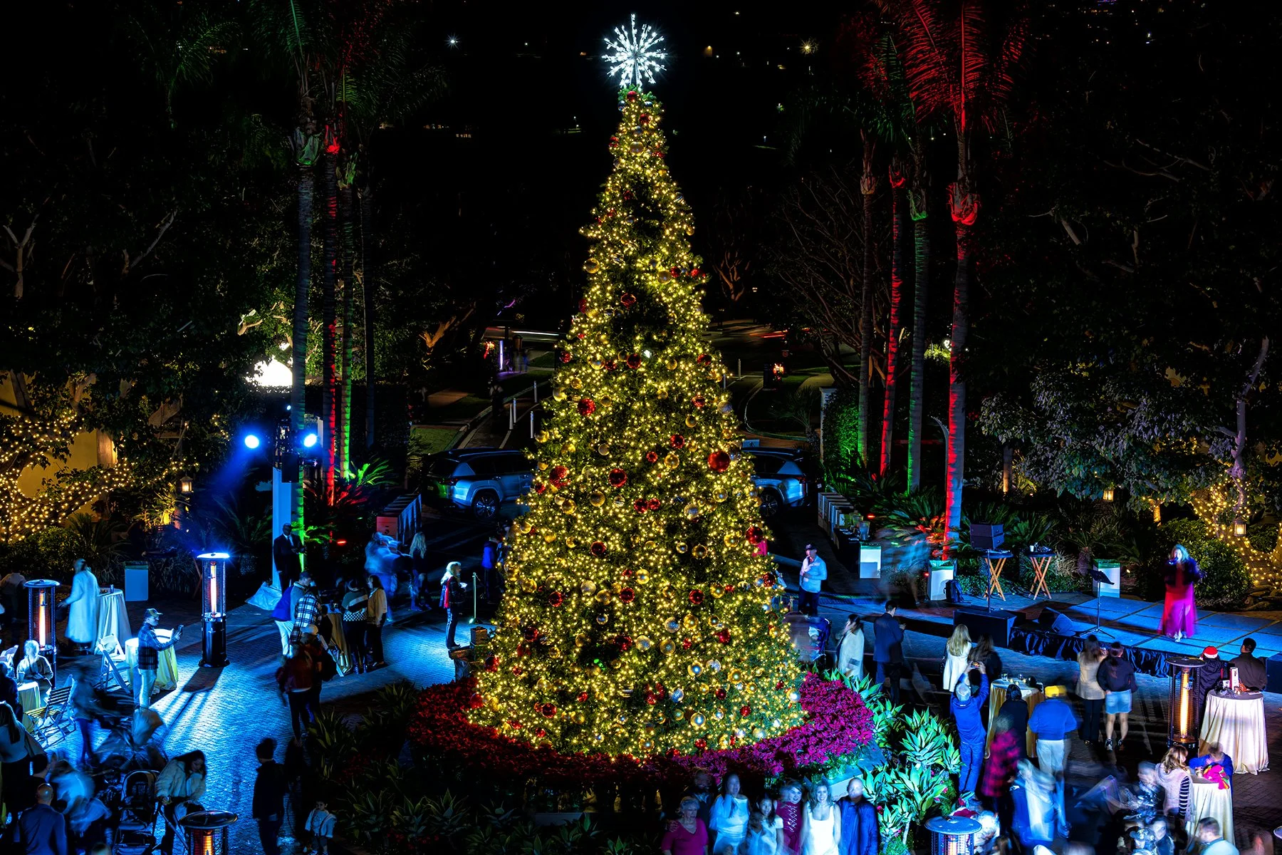 It’s a Holiday Season by By Photographer and Contributor Steve Tabor