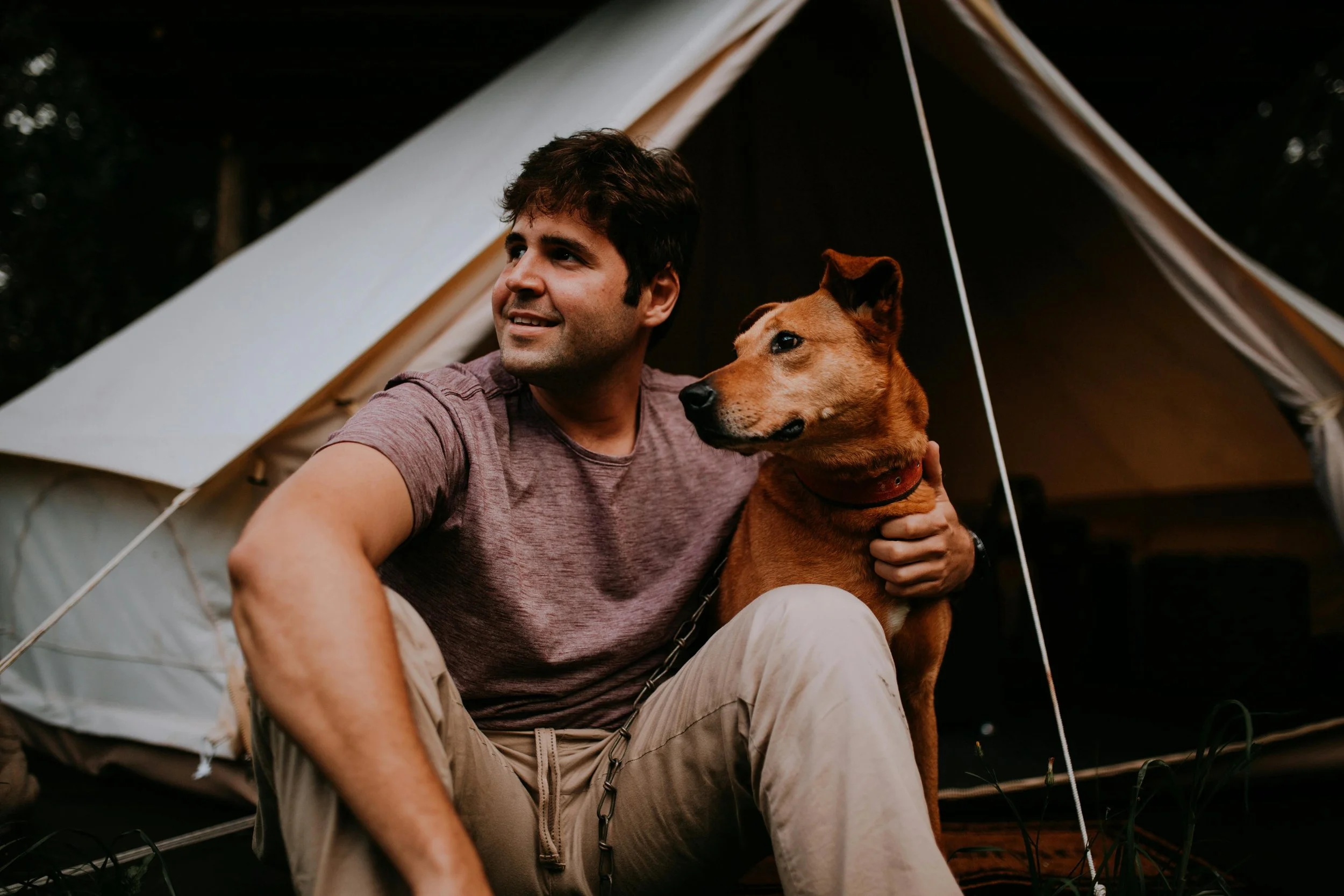 Why We Love Dogs: Symbolism and Lessons from Our Faithful Friends ...