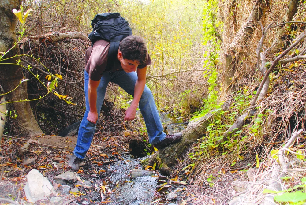 Palos Verdes Peninsula Land Conservancy Calendar of Events for October