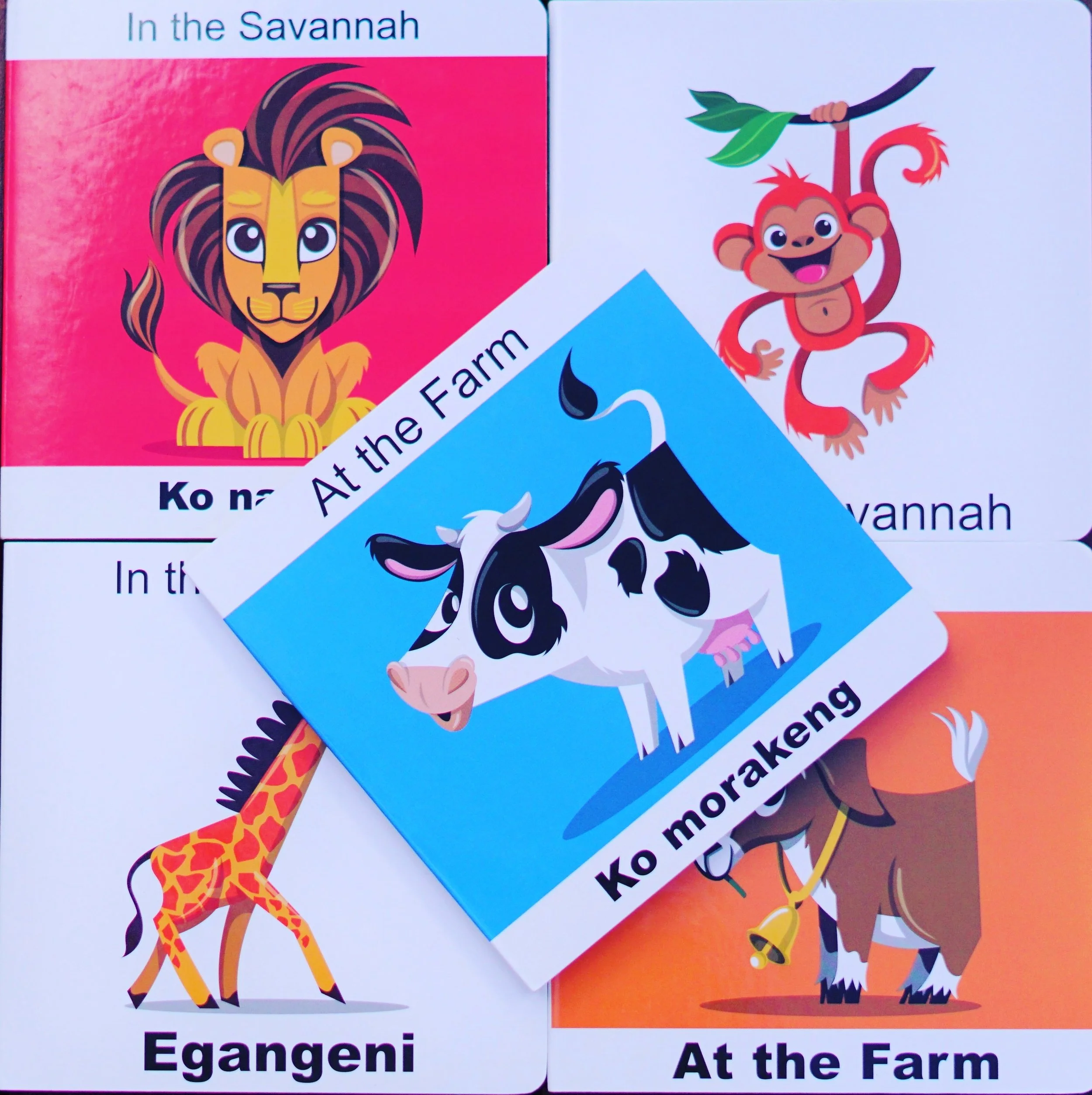 Setswana picture books.jpg