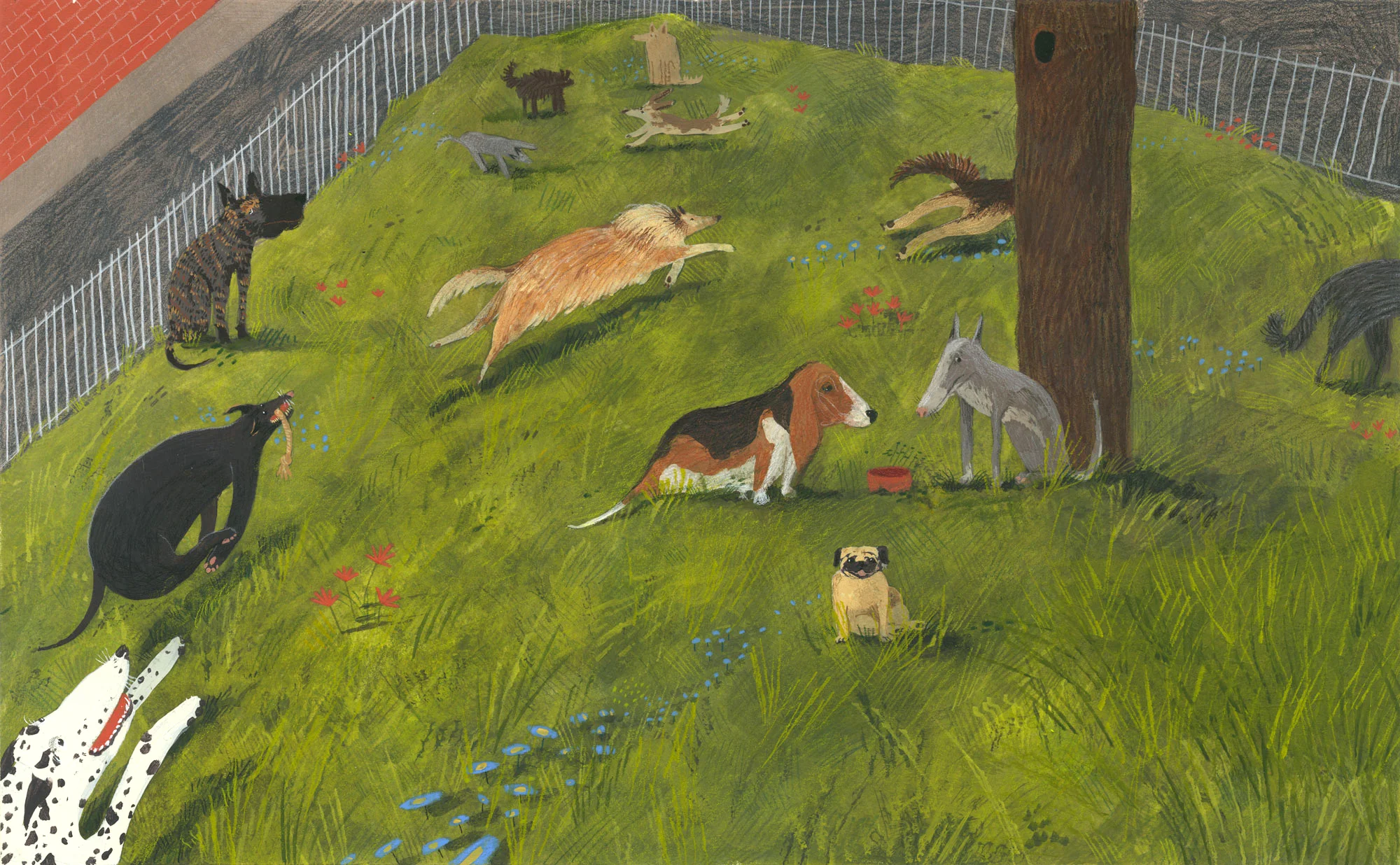 At the Dog Park