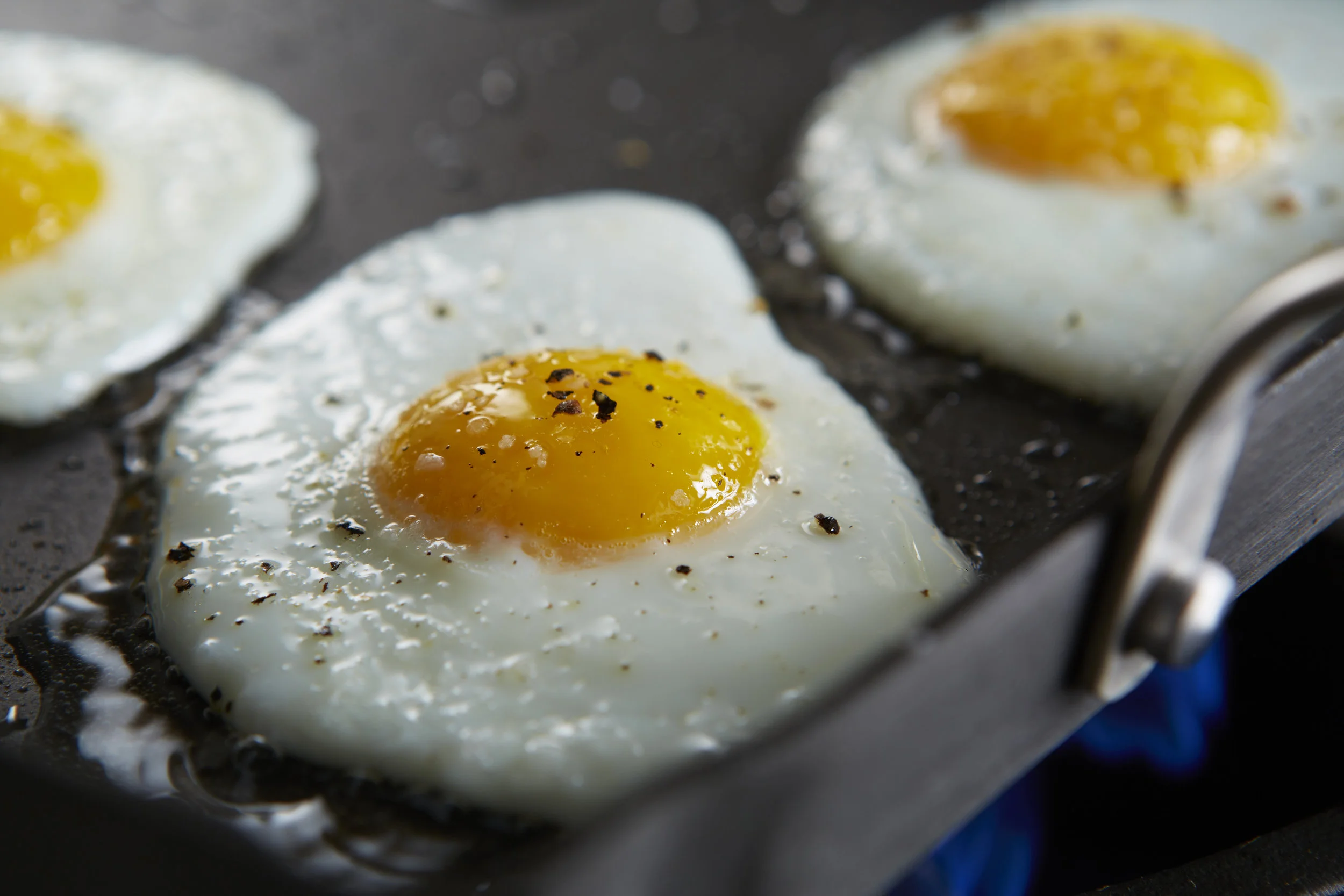 egg2.jpg