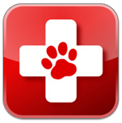 Purchase or put together a pet first aid kit to be prepared in case of injury.