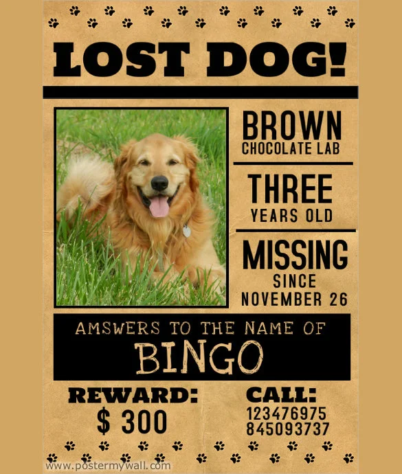 lost-pet-flyer.jpg