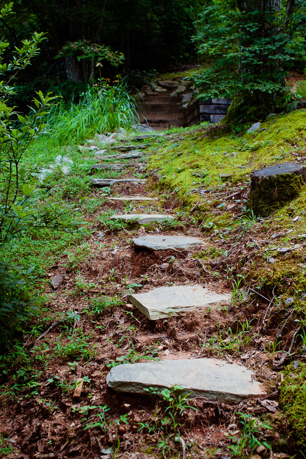 Stone path at Tao Mountain Sanctuary
