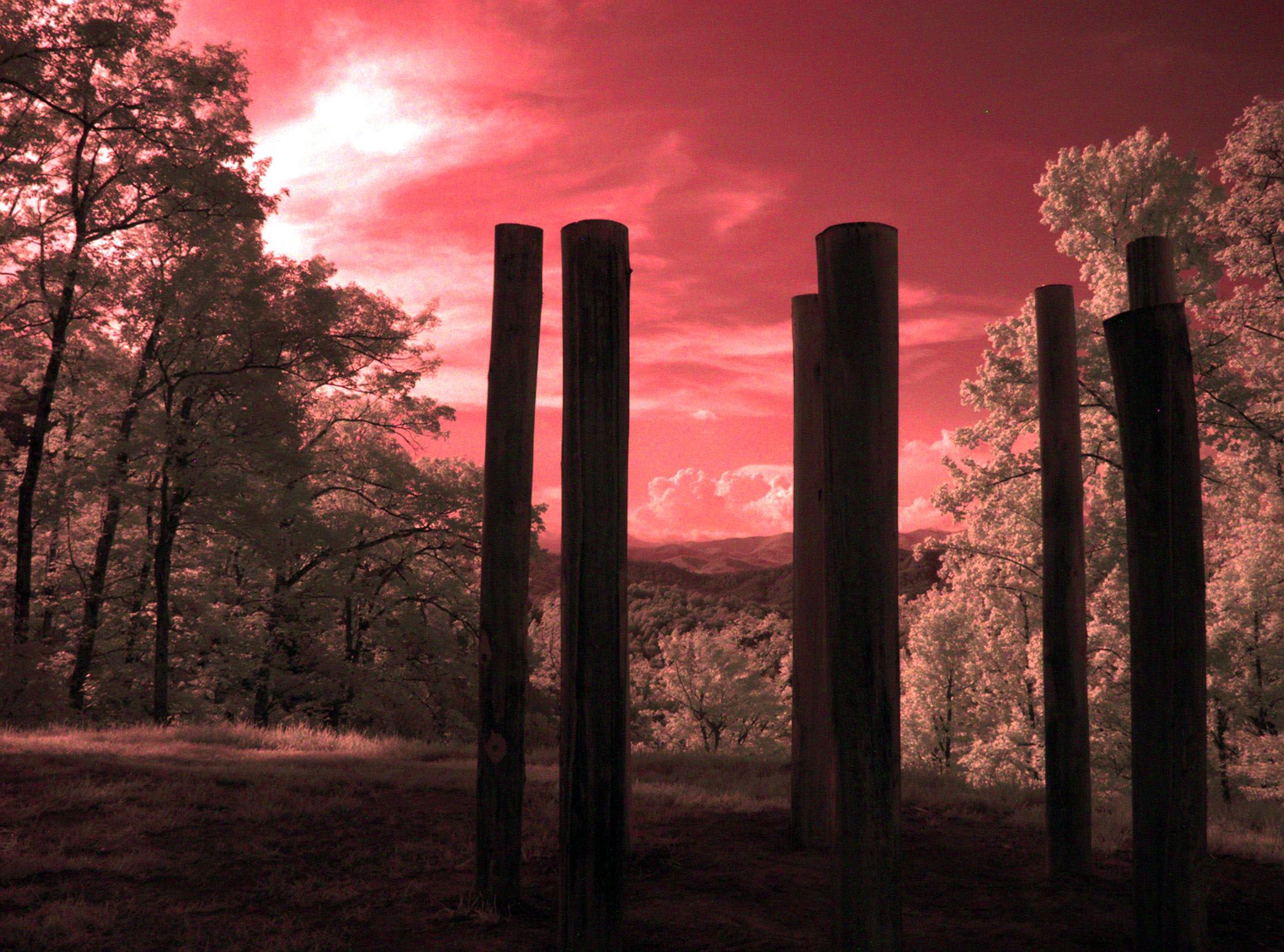 Training Area at Tao Mountain Sanctuary