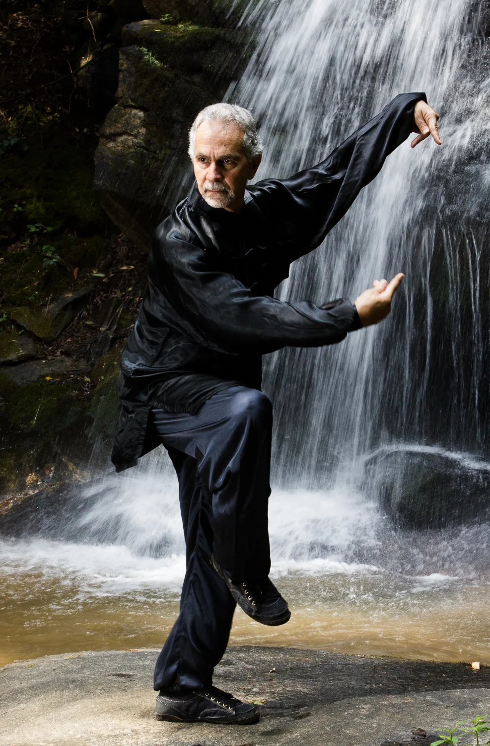 Sifu Paolillo in Praying Mantis posture, 2012