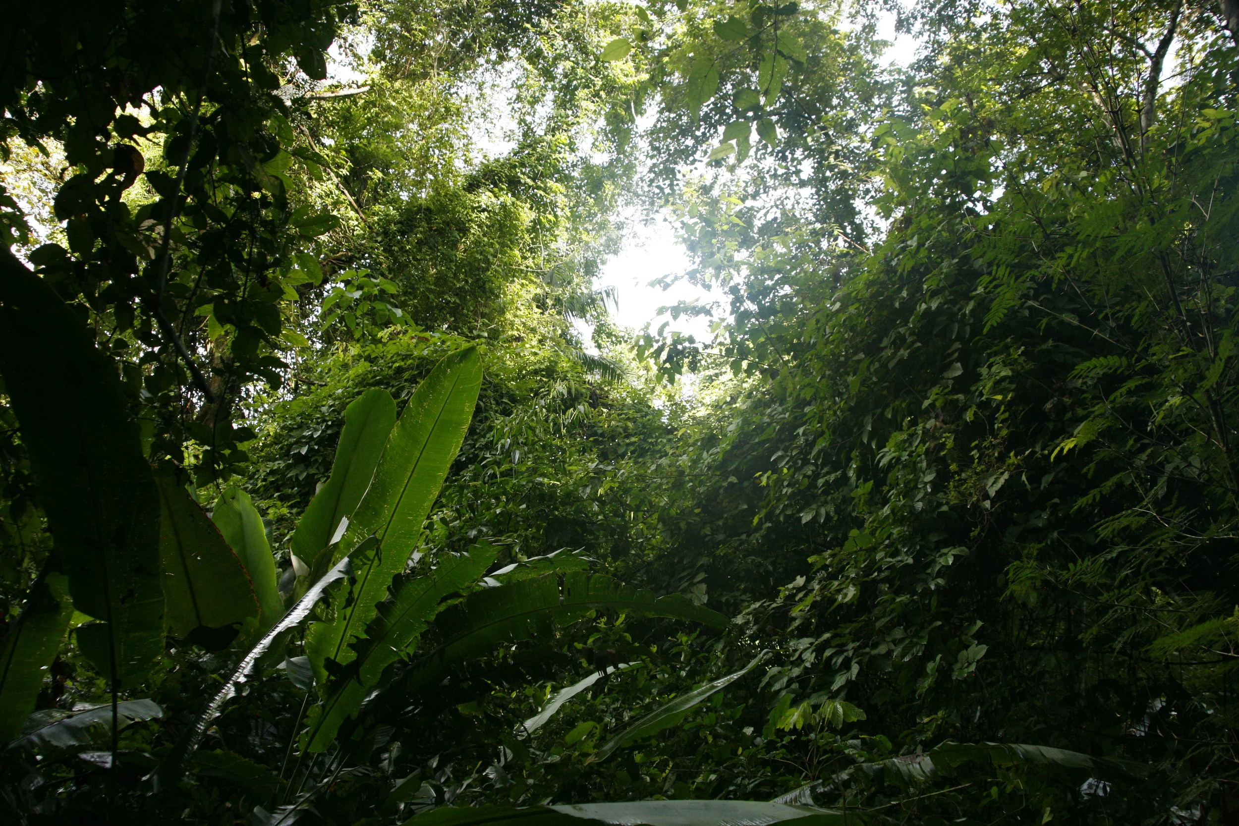 _MG_0041.jpg