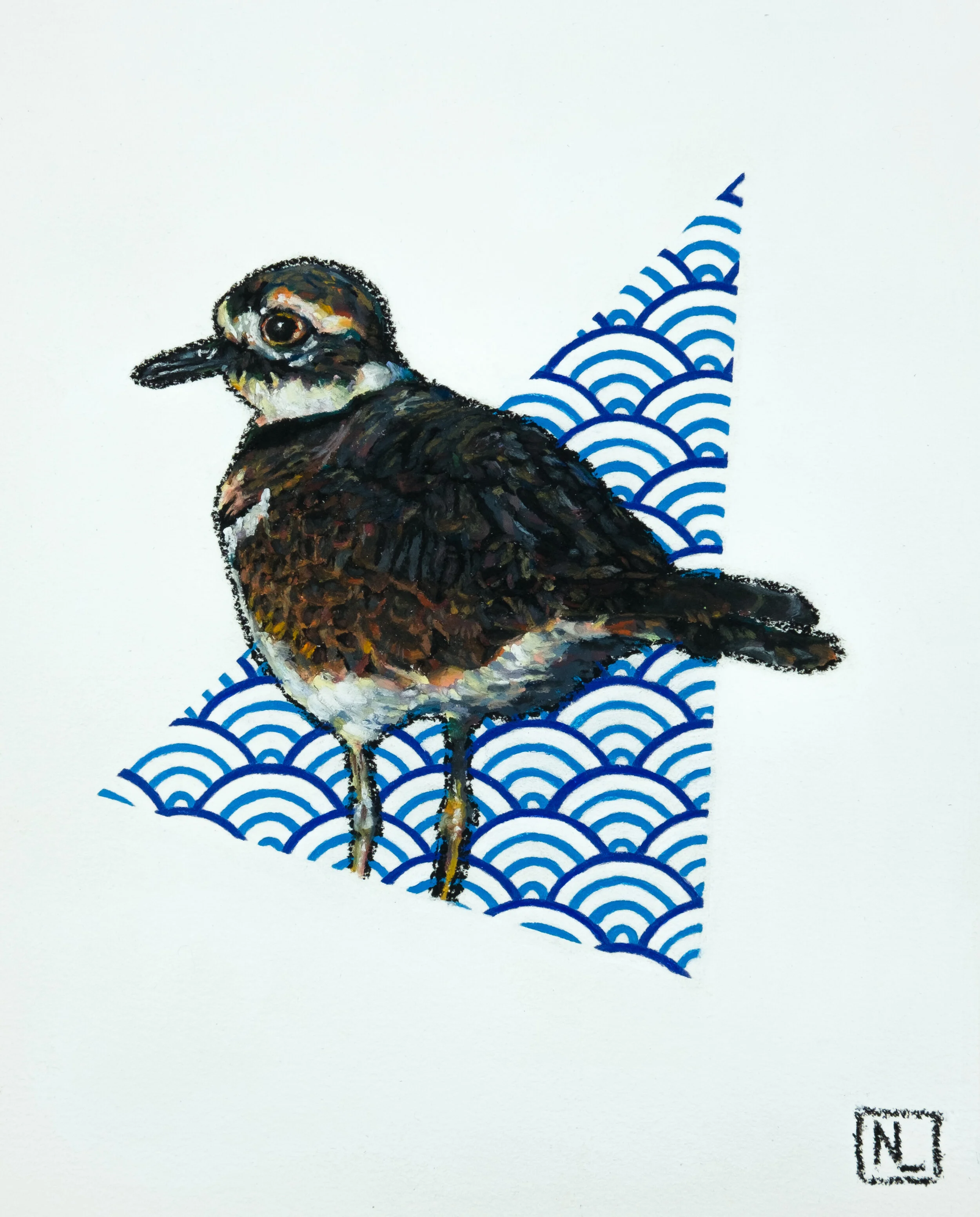 Killdeer lookout