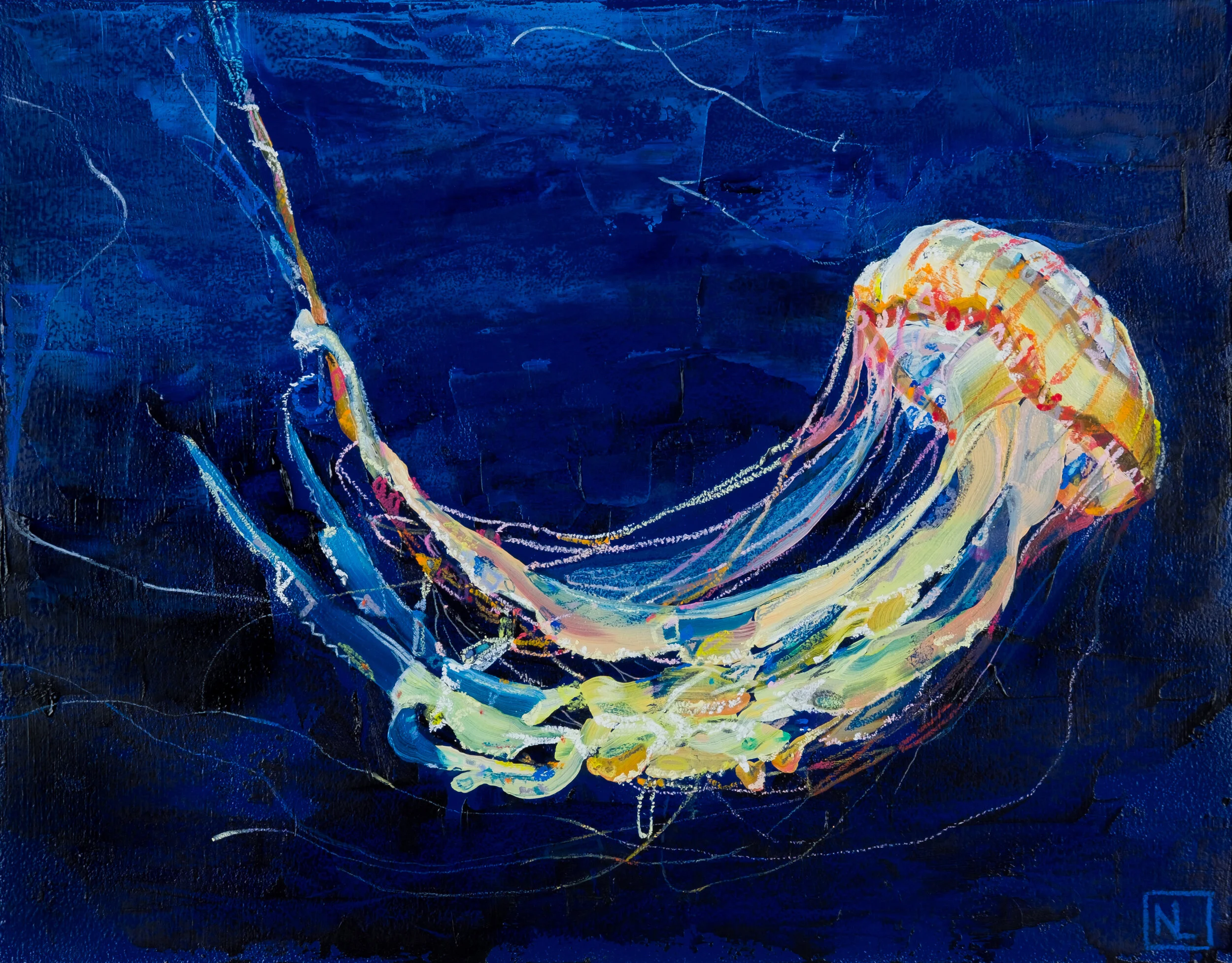 Untitled (jellyfish)