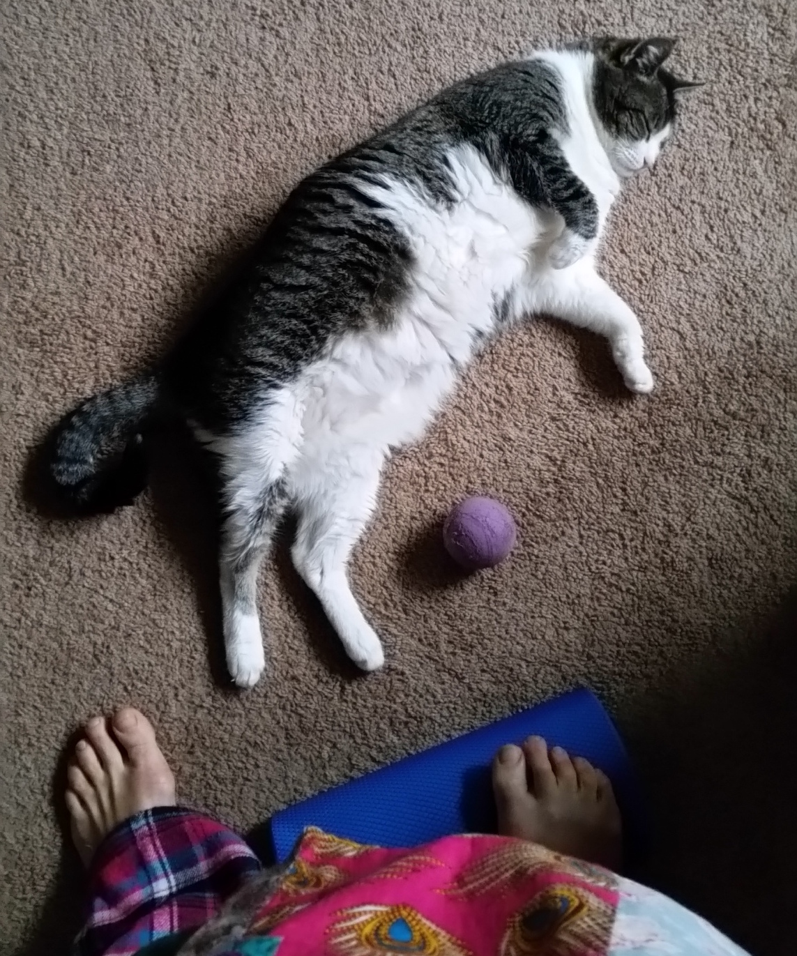 calfstretch.jpg