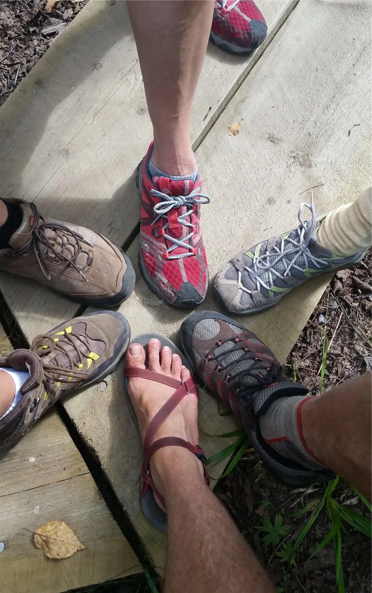 Shoes.jpg