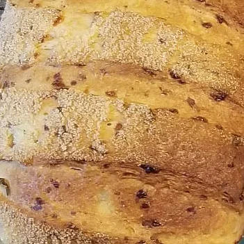 A beautiful scored loaf with a semolina crust.