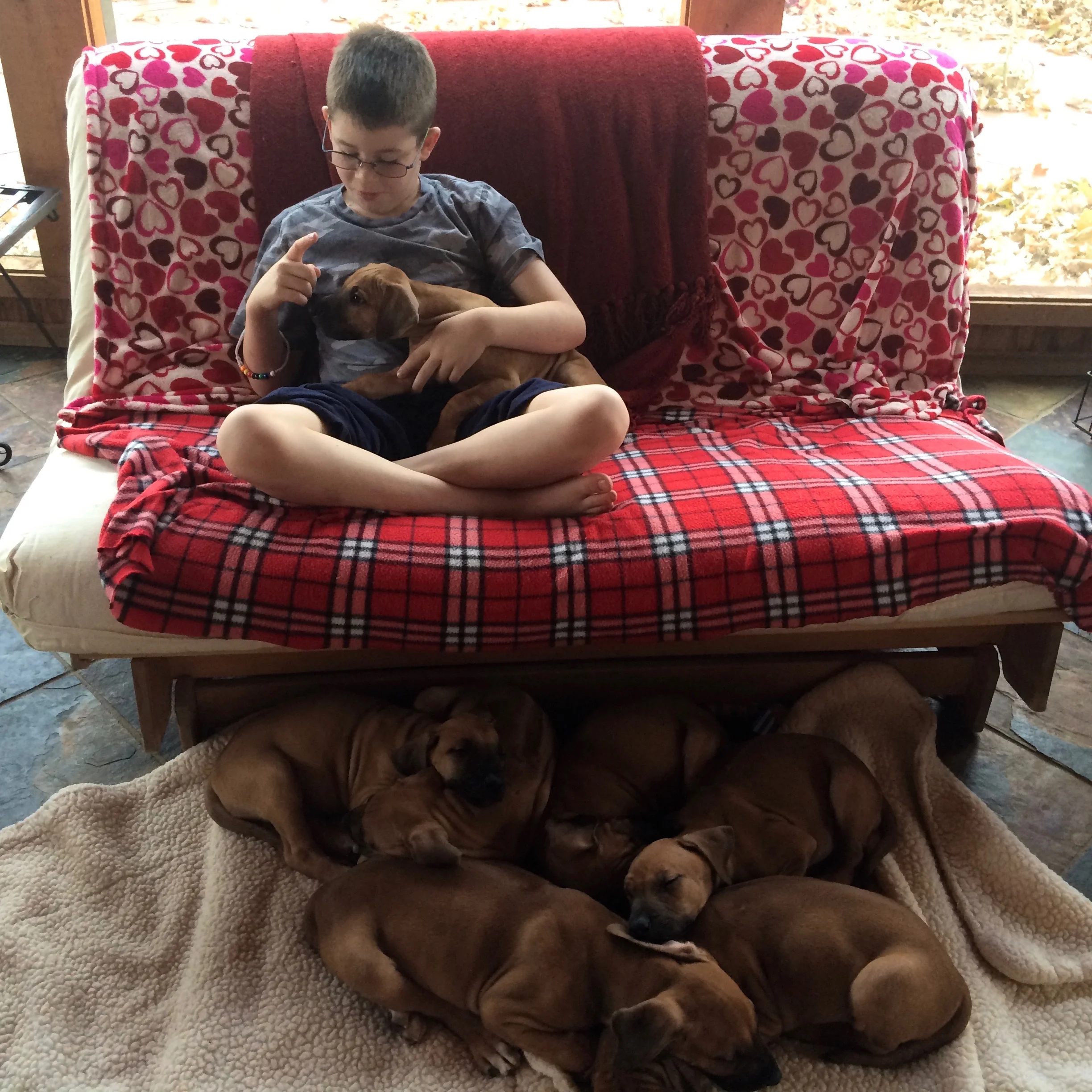 Master Sam Mask Puppy Whisperer Teaching Attention.jpg
