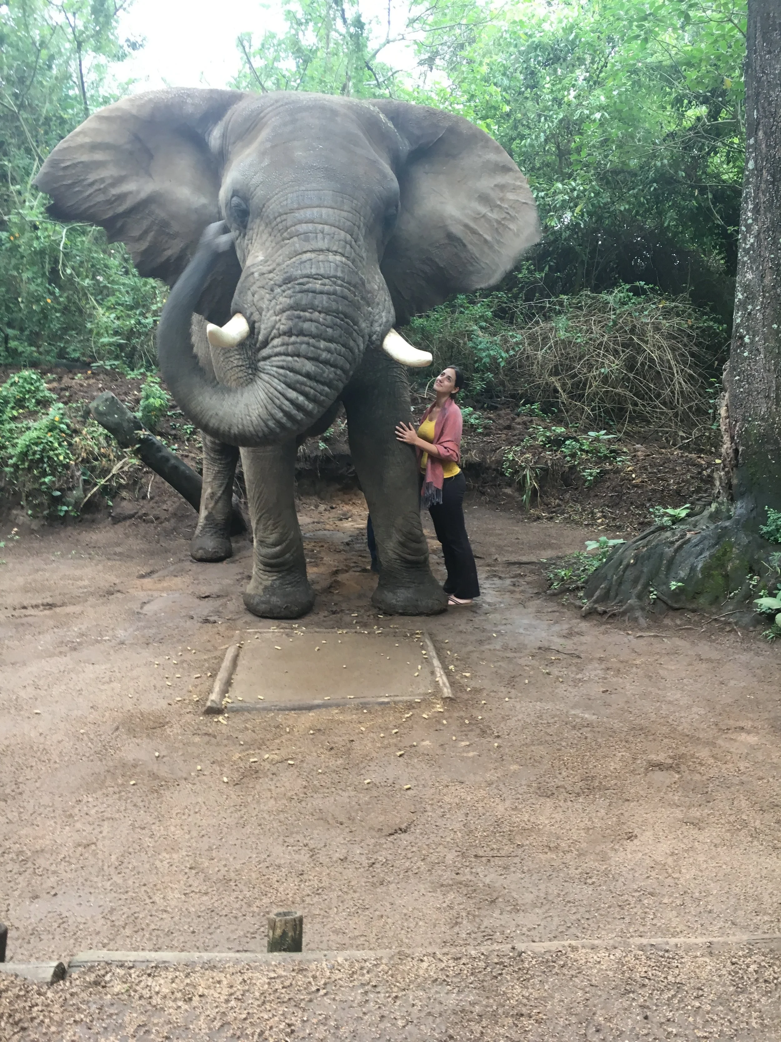 Working with Elephants