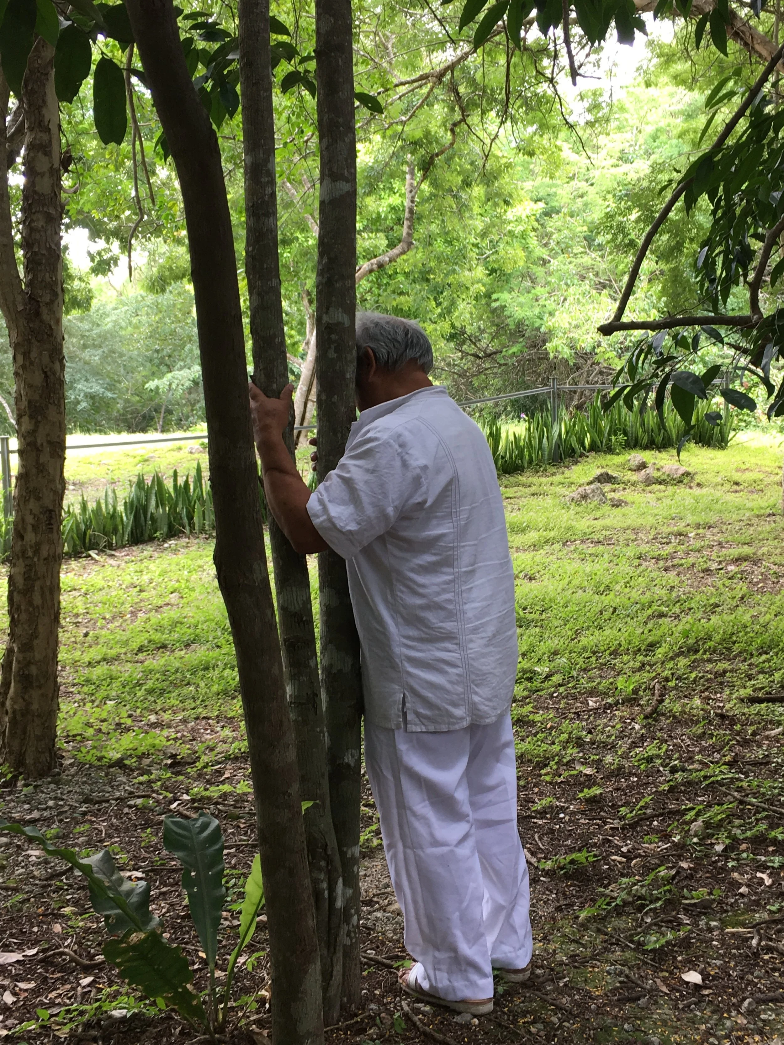 The magic of Cacao and my journey into the Yucatan