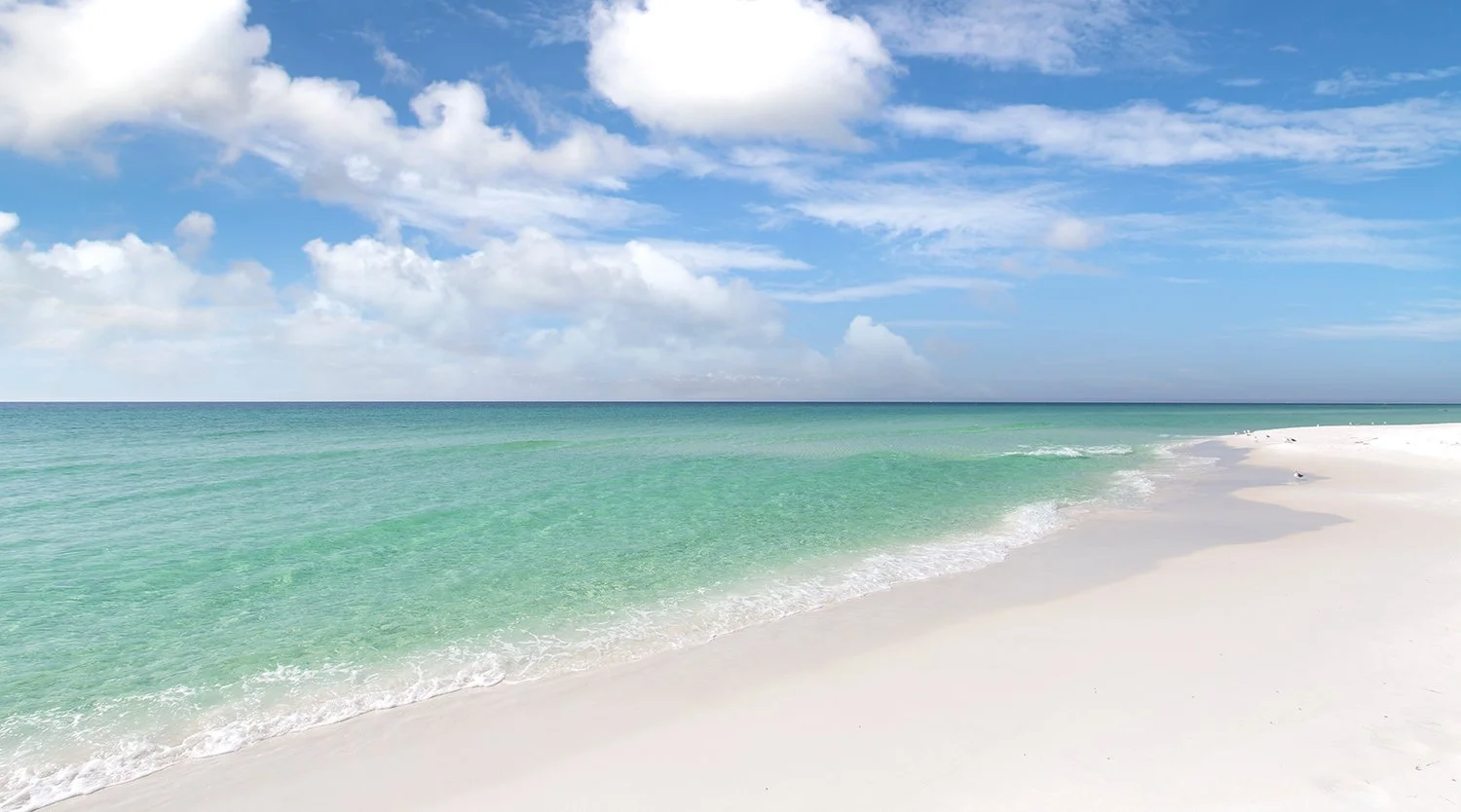 miramar-beach-shore.jpg